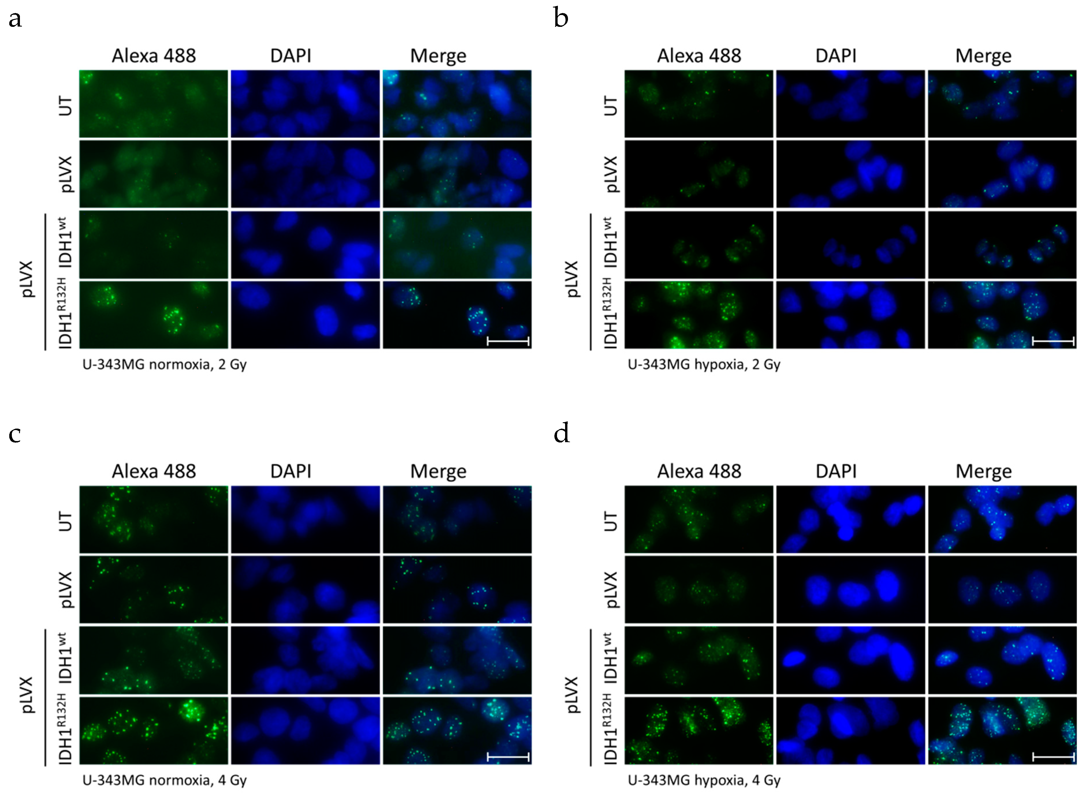 Cancers 11 00889 g0a1
