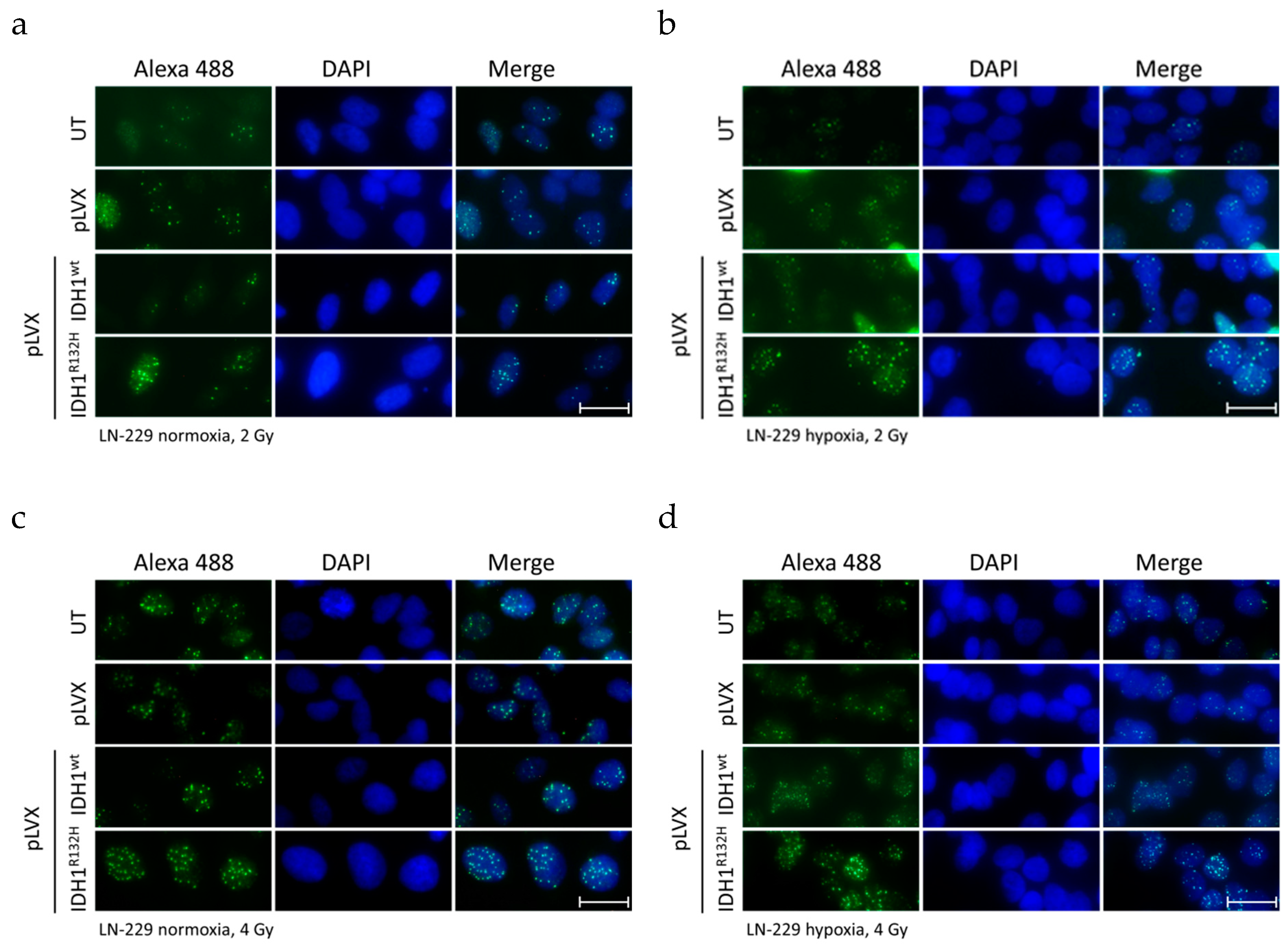 Cancers 11 00889 g0a2