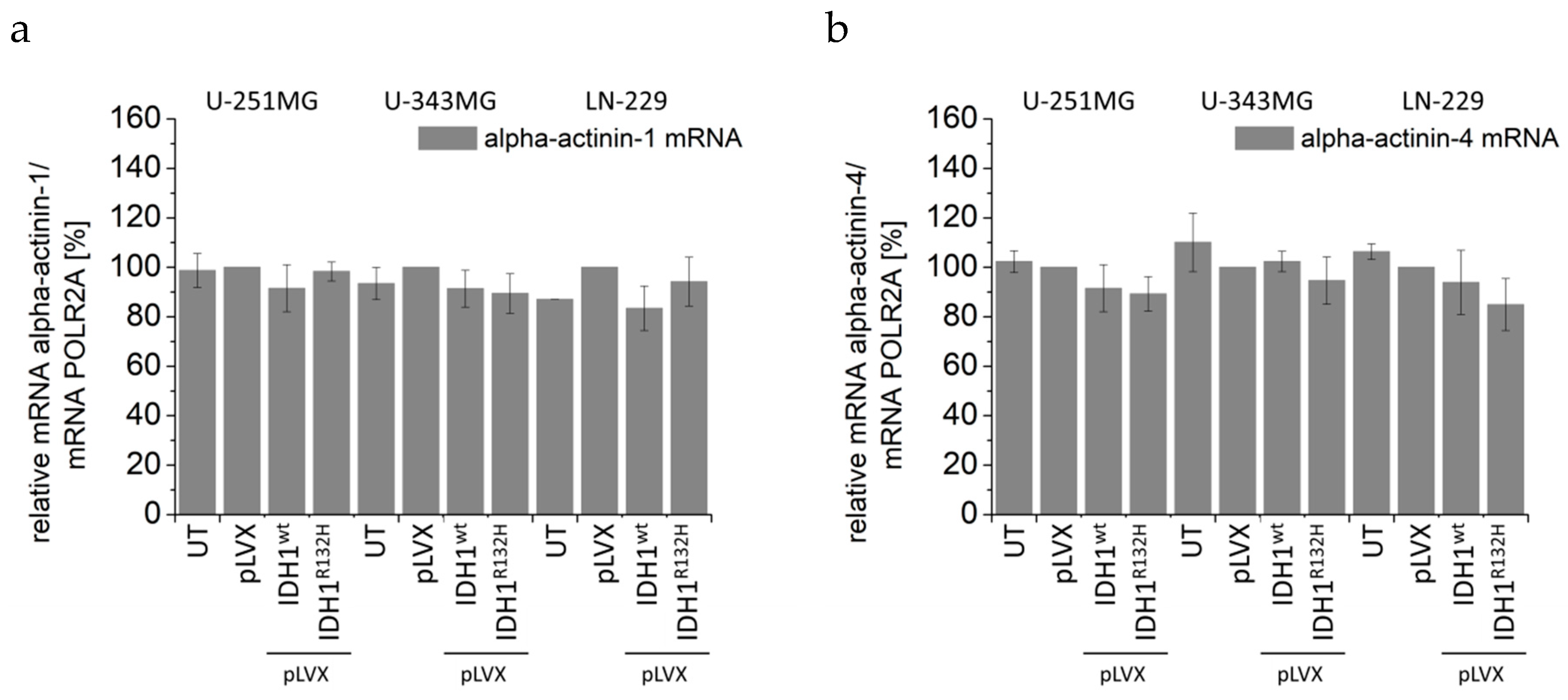 Cancers 11 00889 g0a8