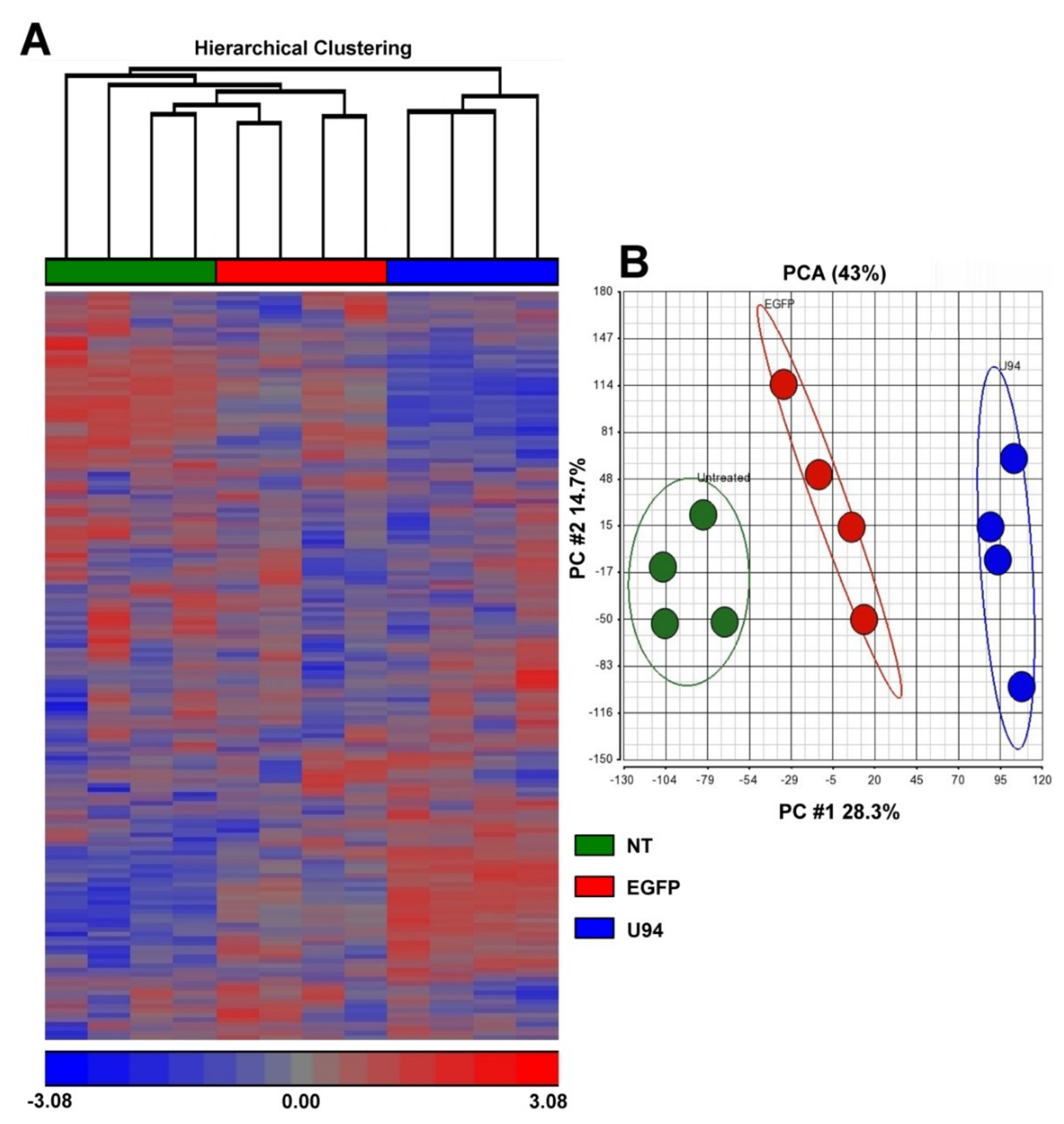 Cancers 11 01006 g001