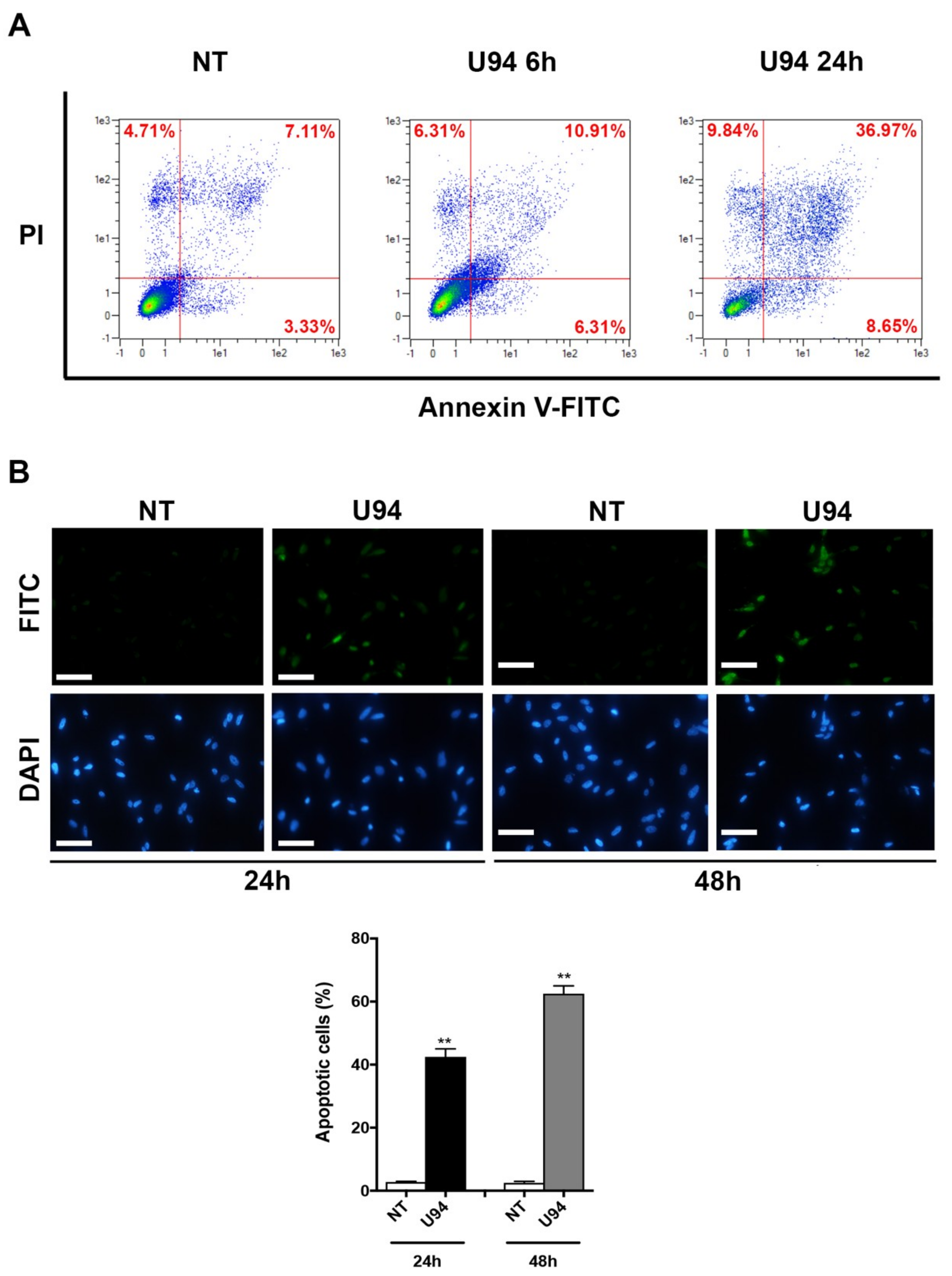 Cancers 11 01006 g004