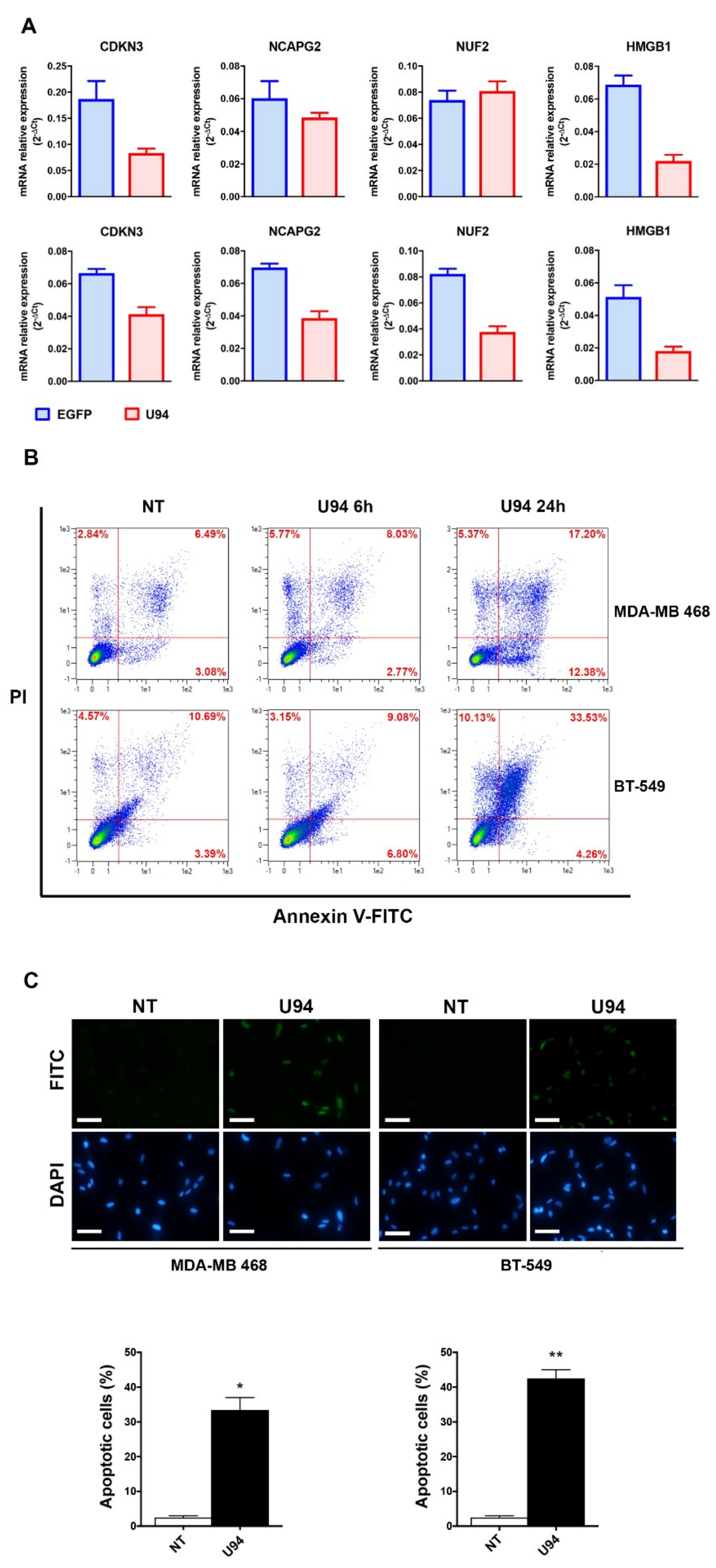 Cancers 11 01006 g009