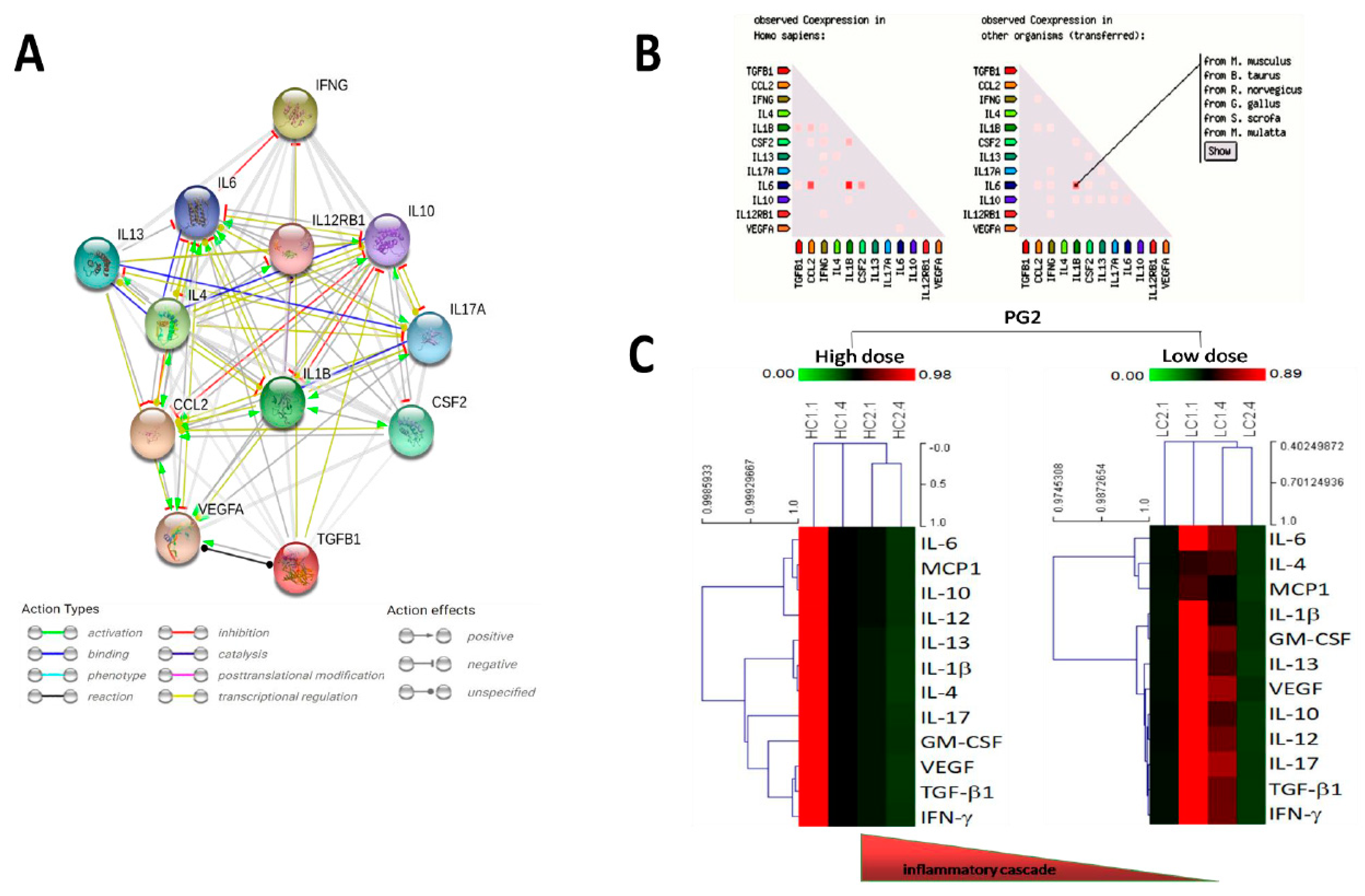 Cancers 11 01054 g001 Cancers 11 01054 g001