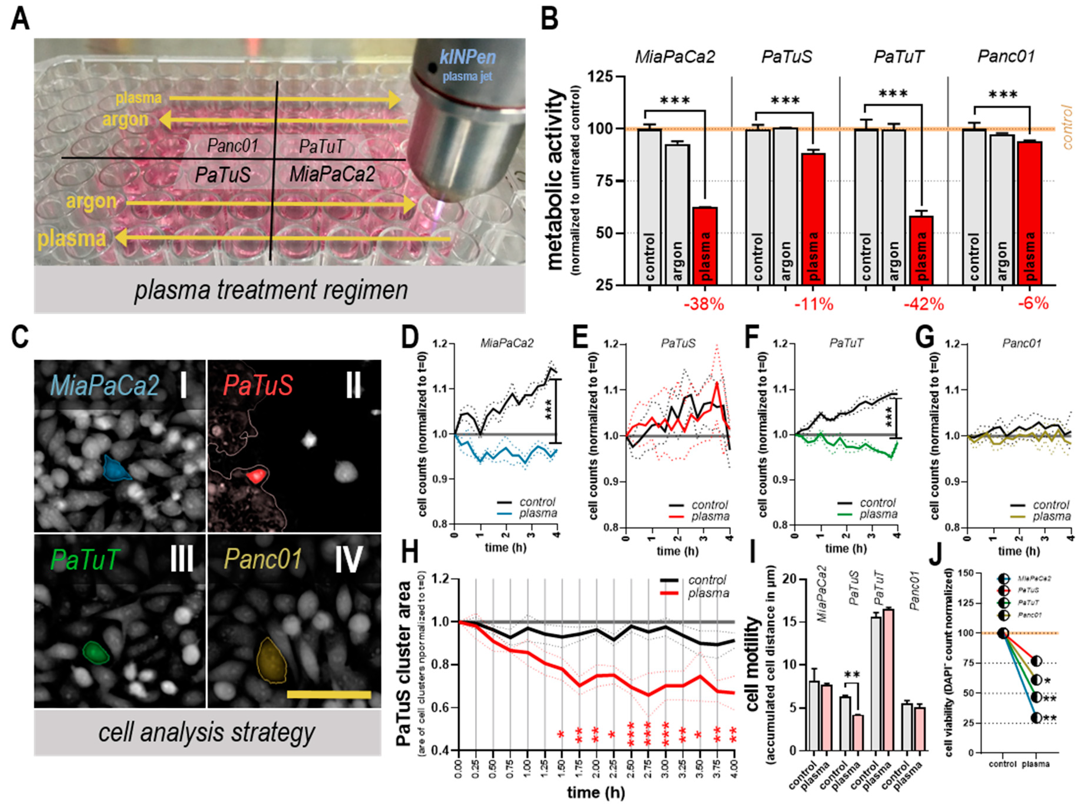 Cancers 11 01237 g002 Cancers 11 01237 g002