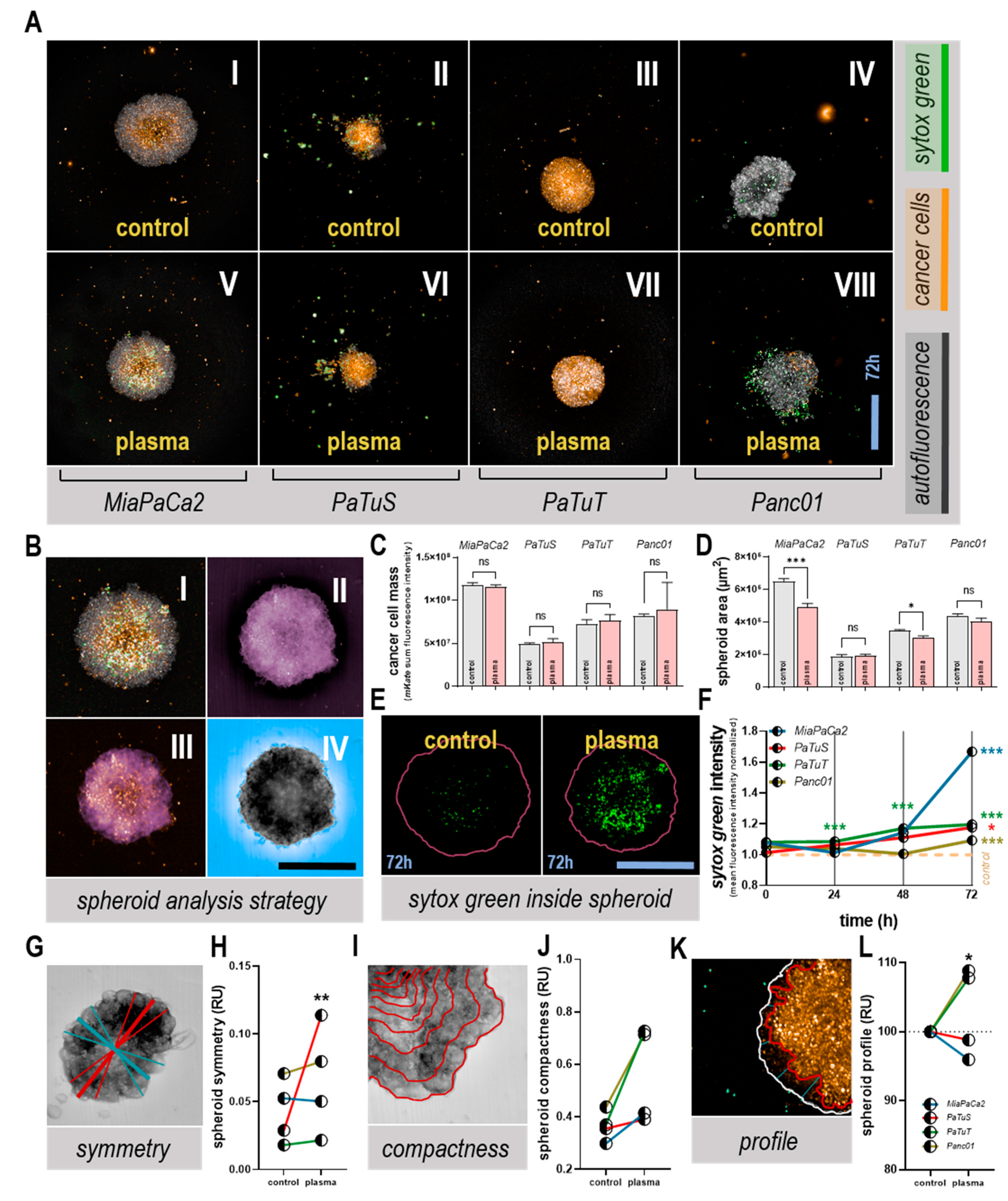 Cancers 11 01237 g004 Cancers 11 01237 g004