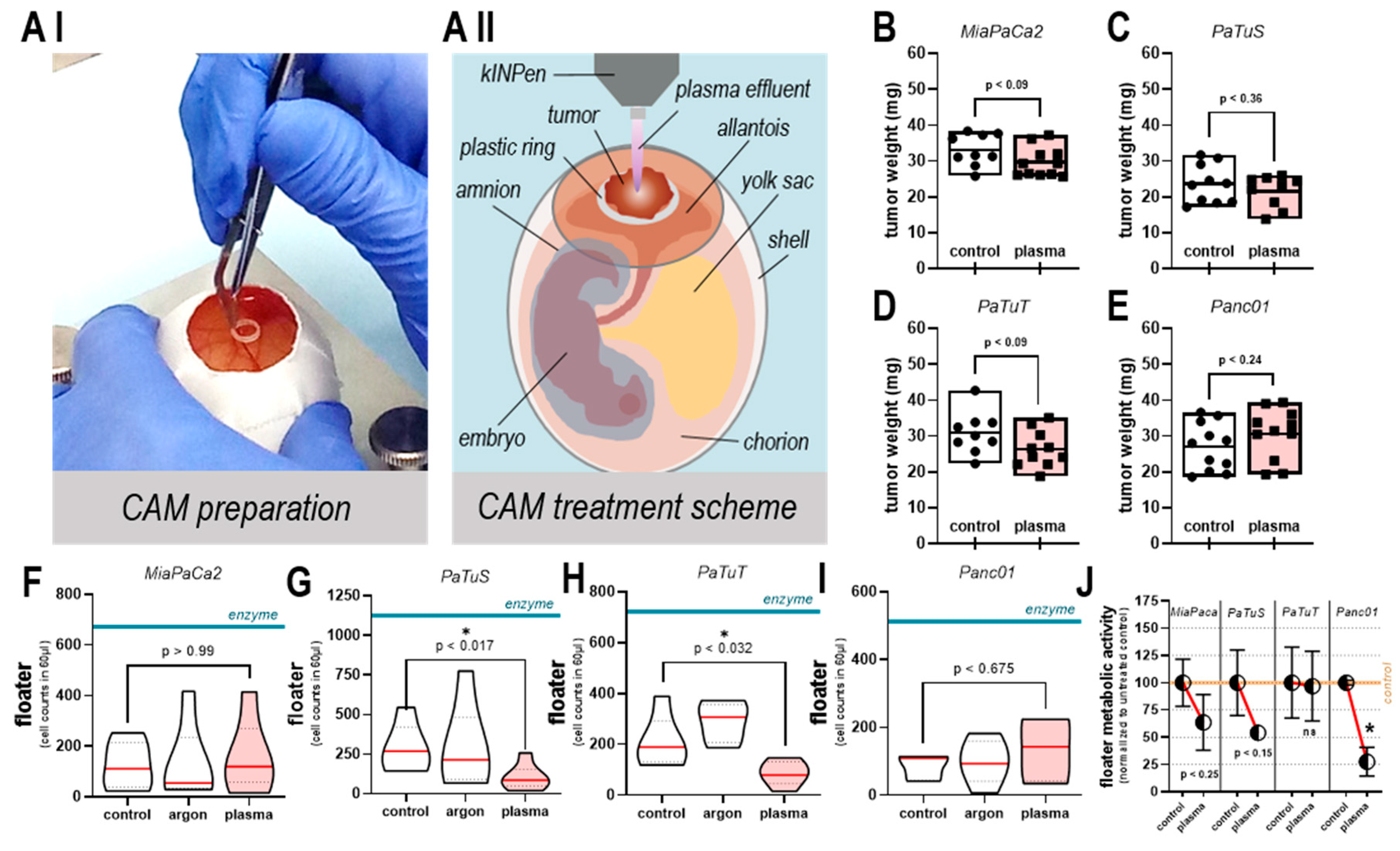 Cancers 11 01237 g006 Cancers 11 01237 g006