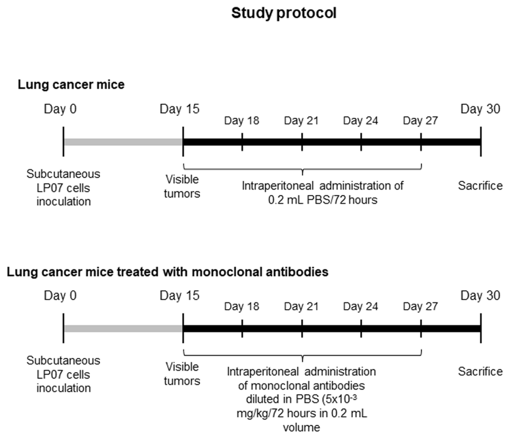 Cancers 11 01301 g001 Cancers 11 01301 g001