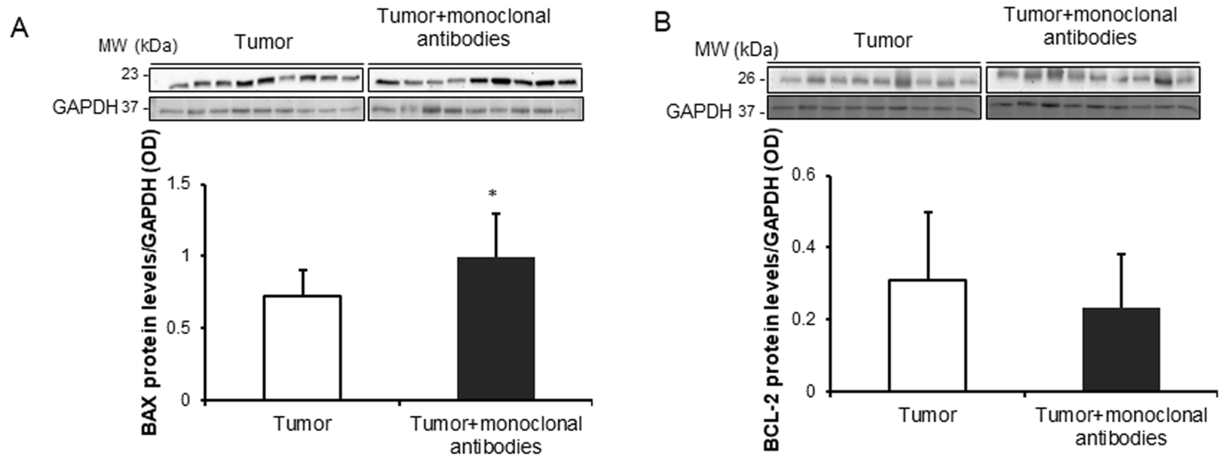 Cancers 11 01301 g006 Cancers 11 01301 g006