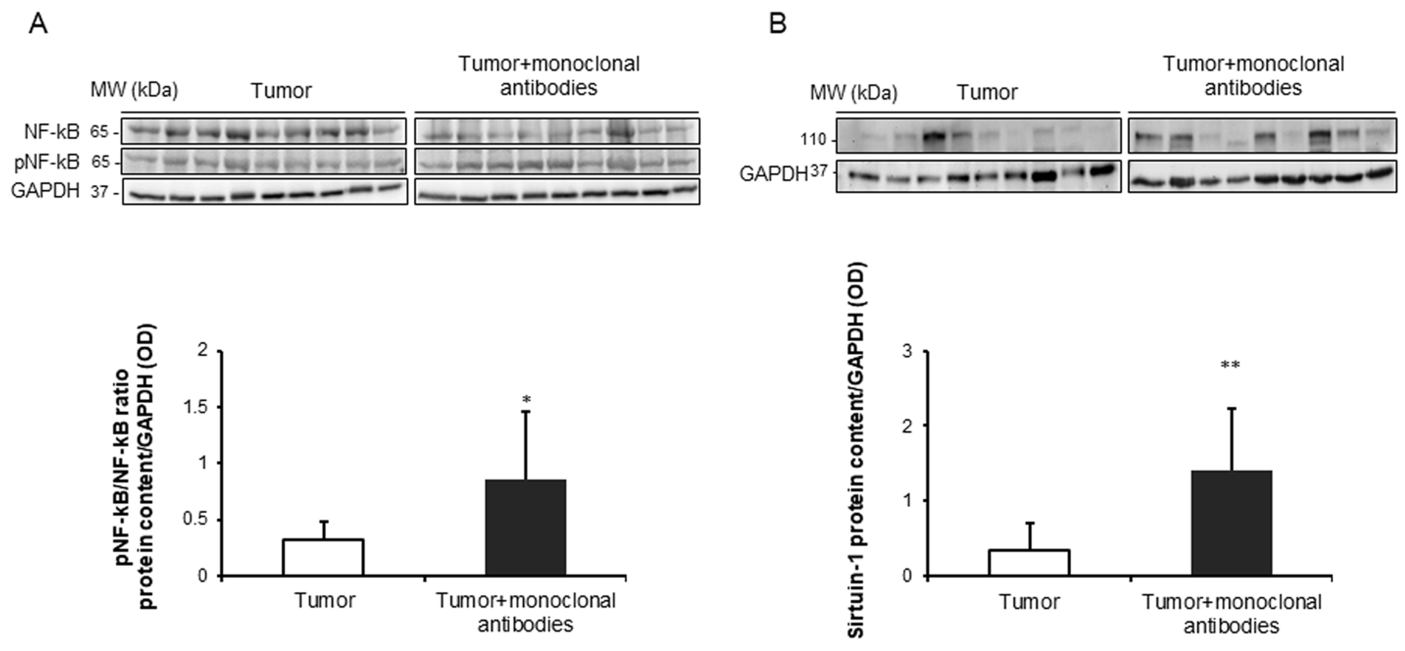 Cancers 11 01301 g008 Cancers 11 01301 g008