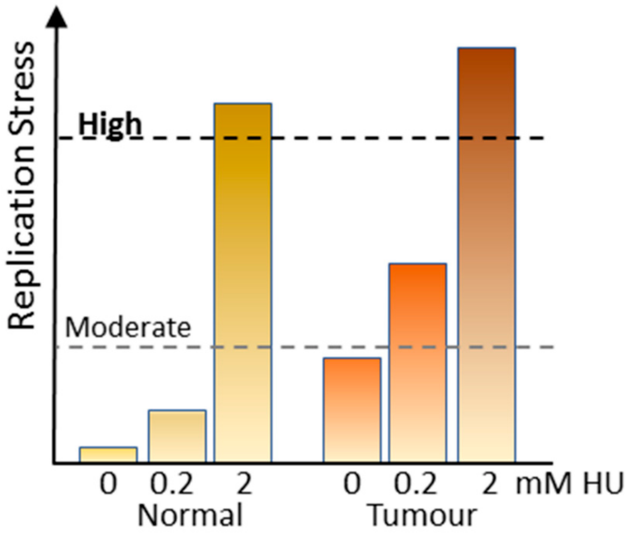 Cancers 11 01320 g003