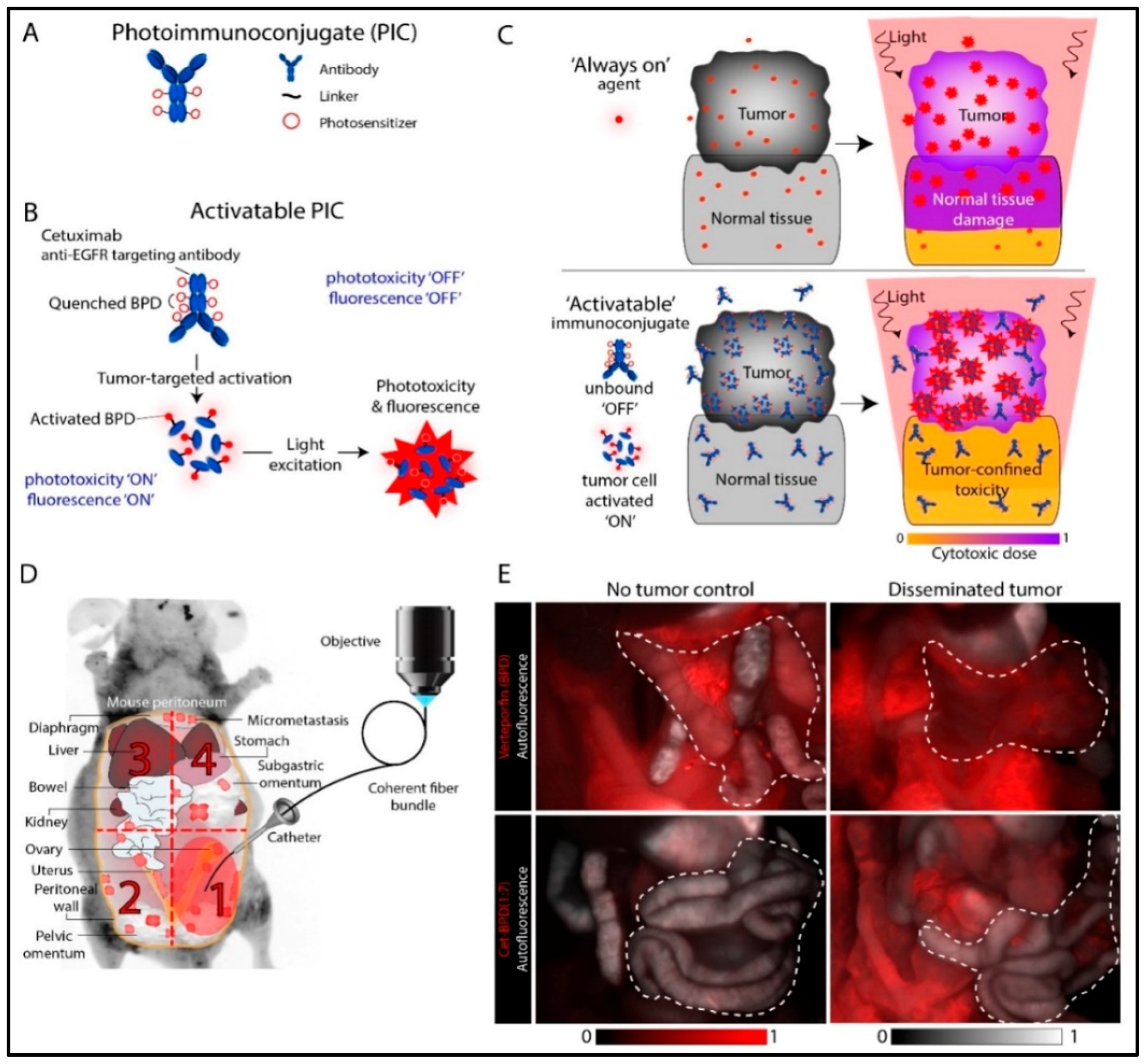Cancers 11 01887 g004