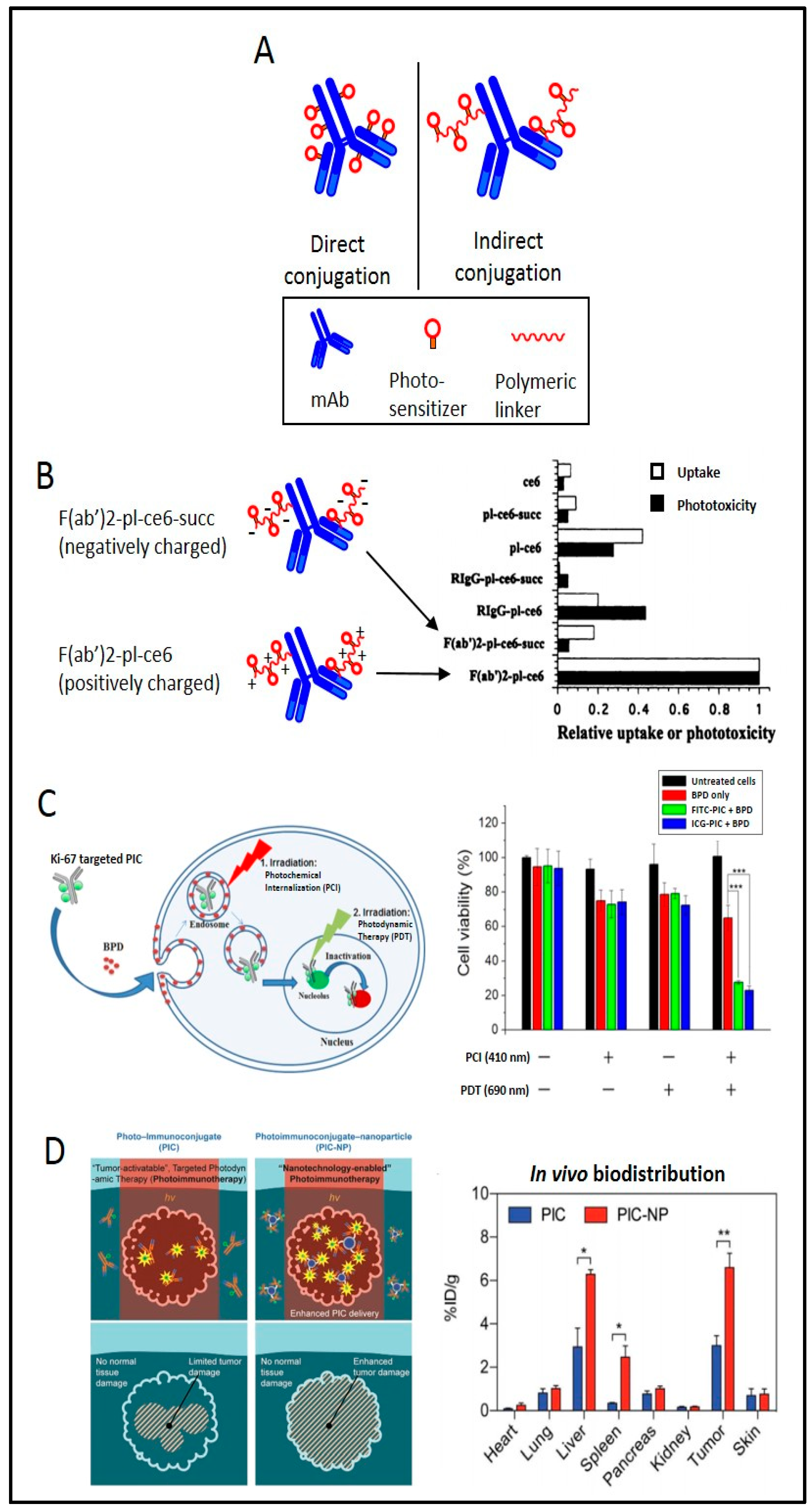 Cancers 11 01887 g005