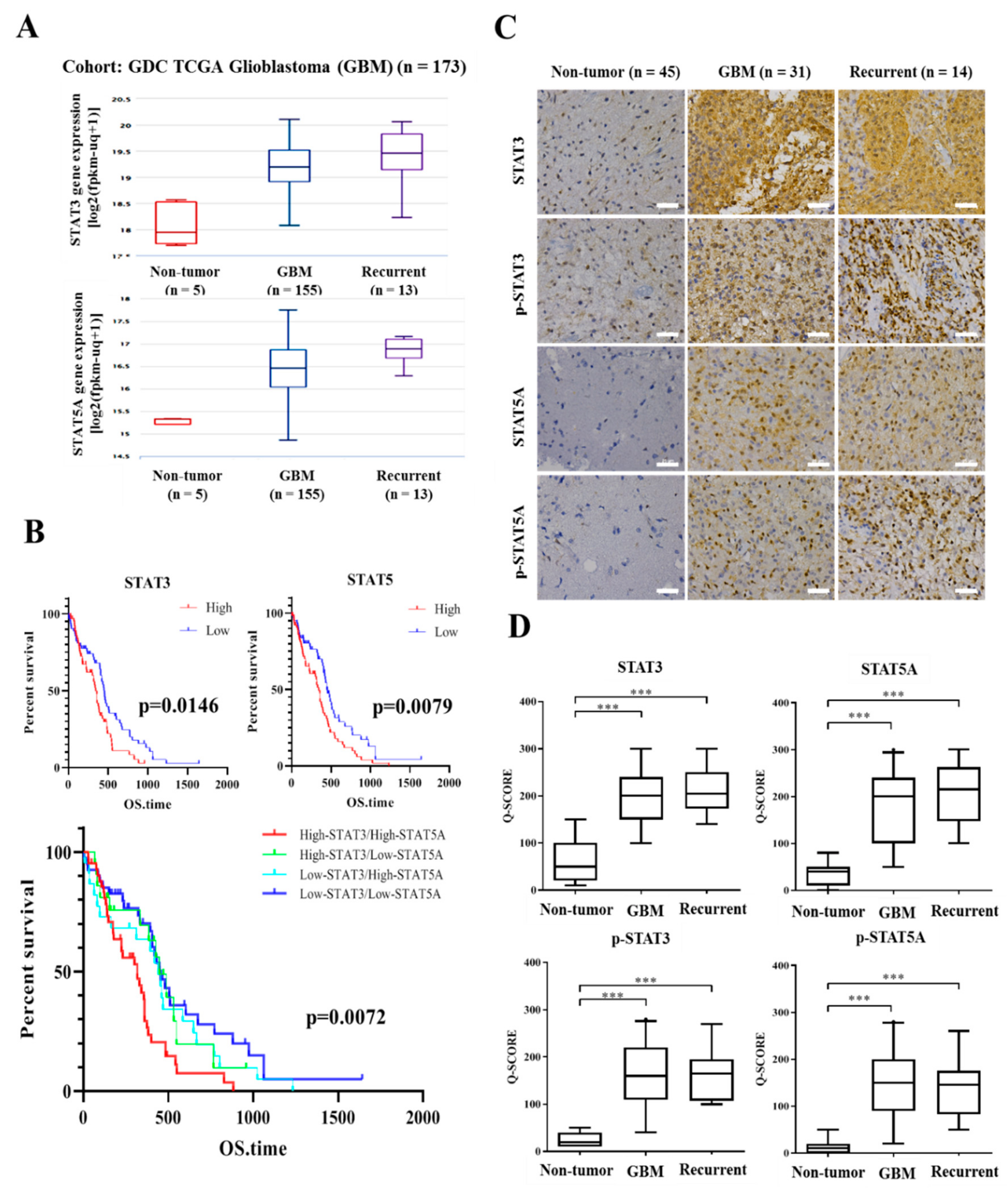 Cancers 11 01888 g001