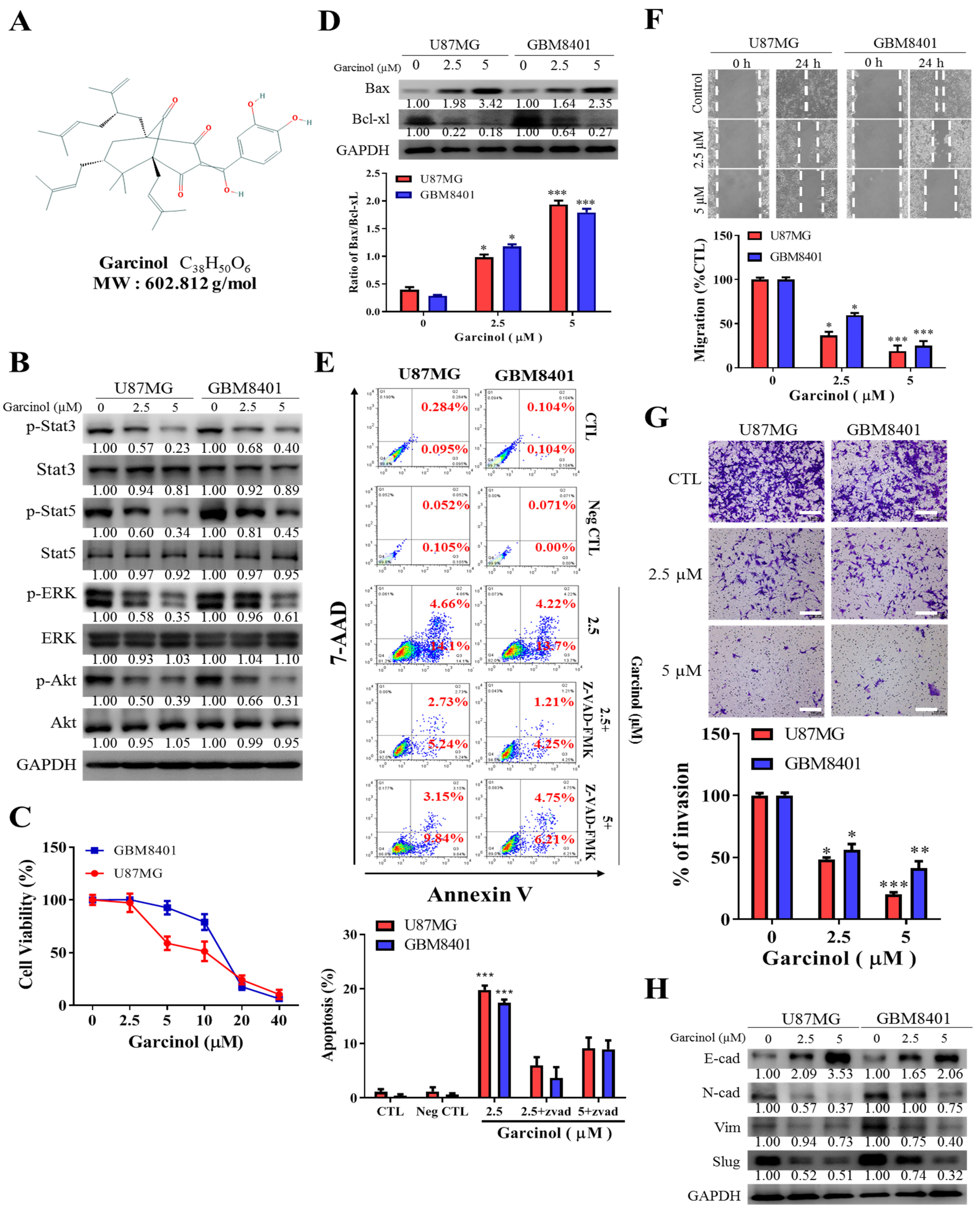 Cancers 11 01888 g002