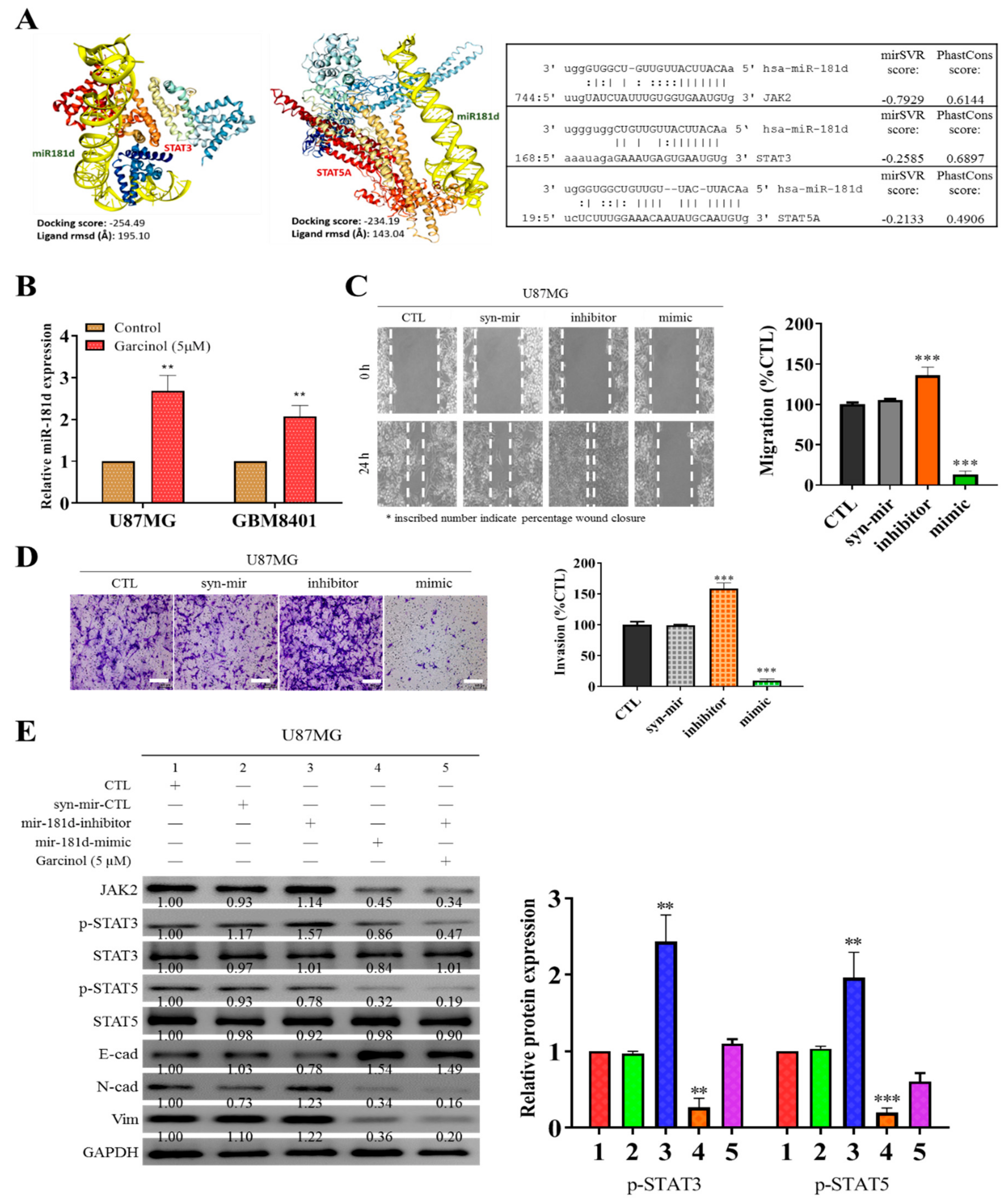 Cancers 11 01888 g004