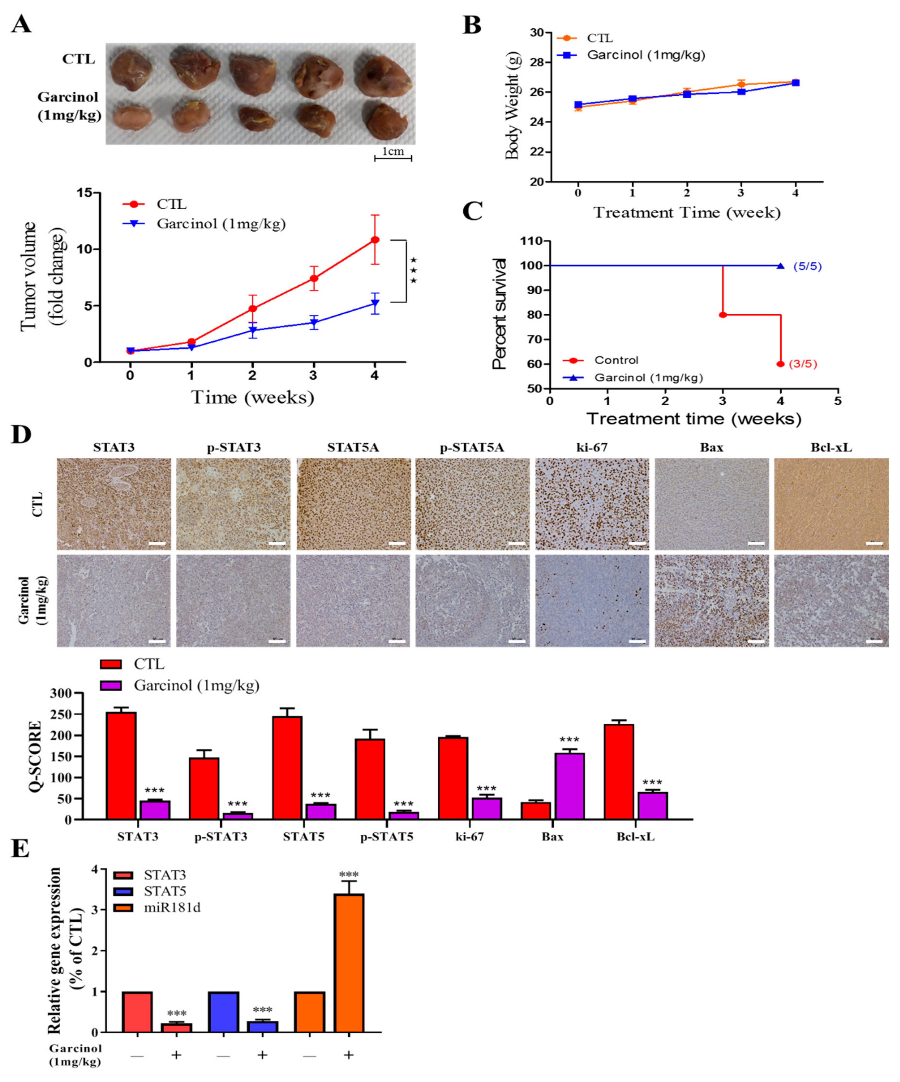 Cancers 11 01888 g005