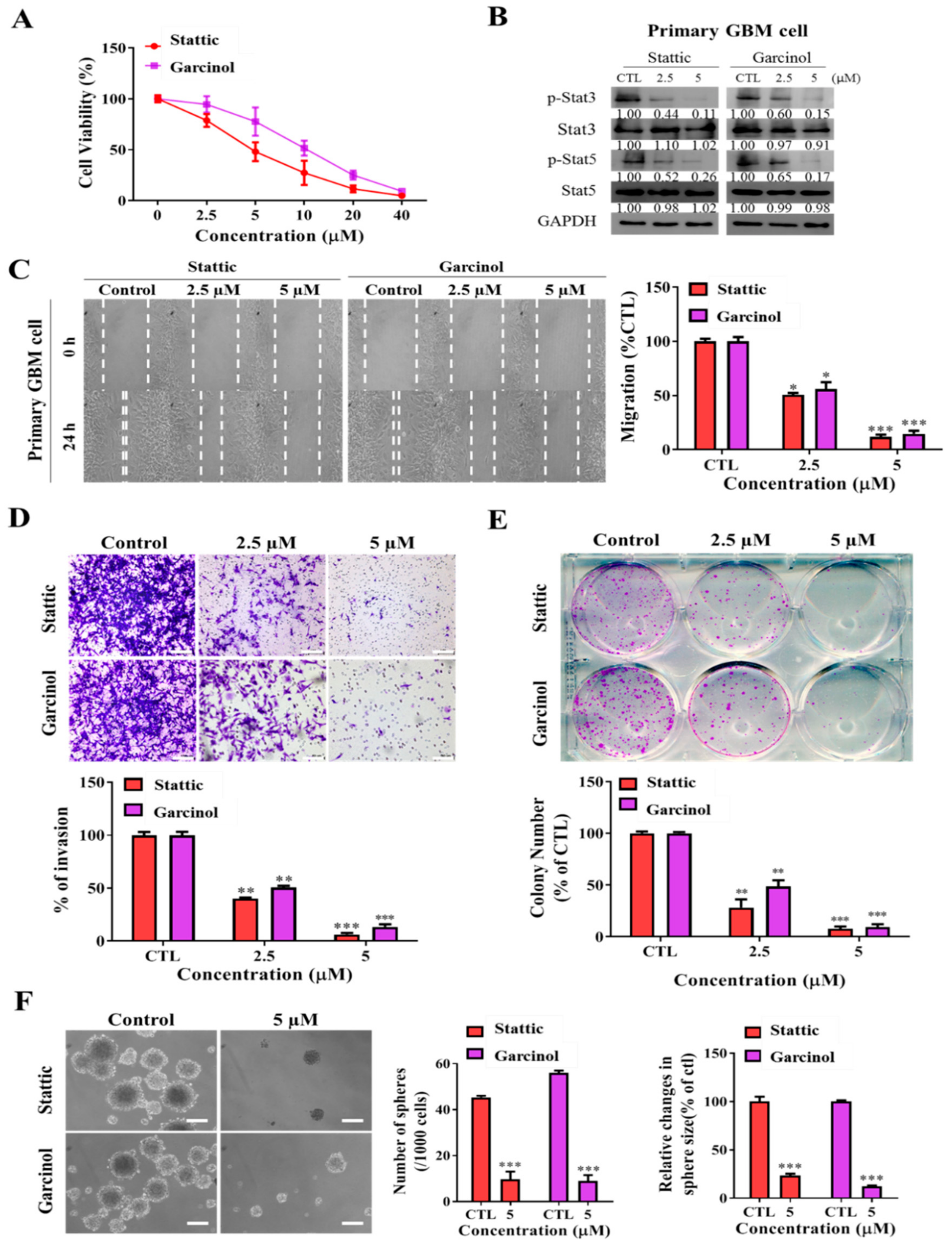 Cancers 11 01888 g006