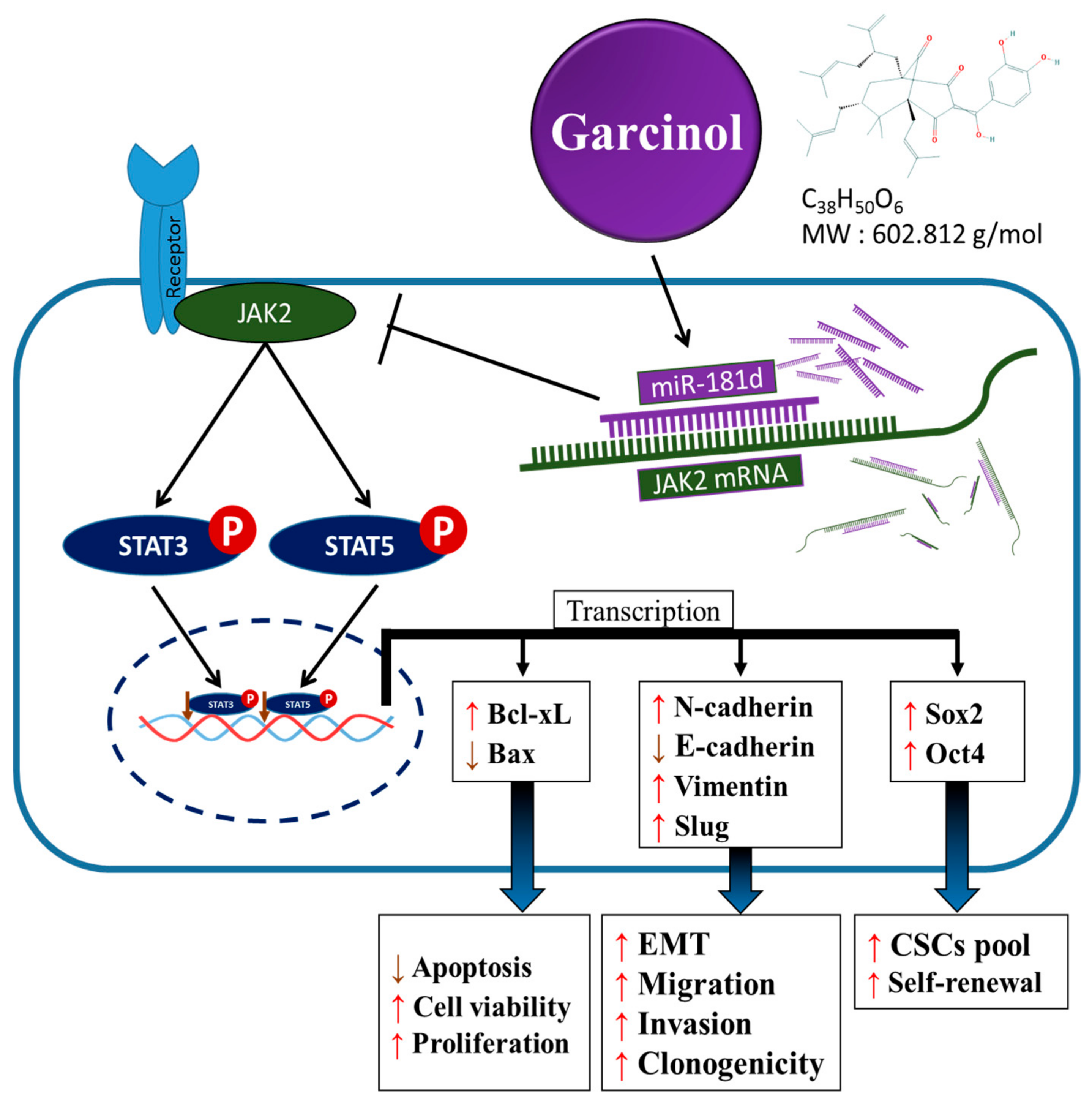 Cancers 11 01888 g007