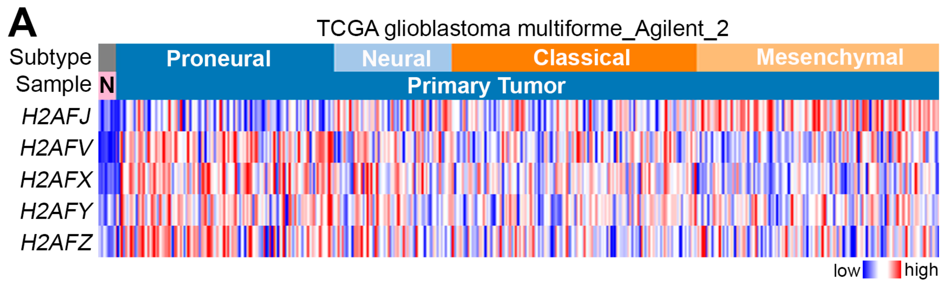 Cancers 12 00098 g001a