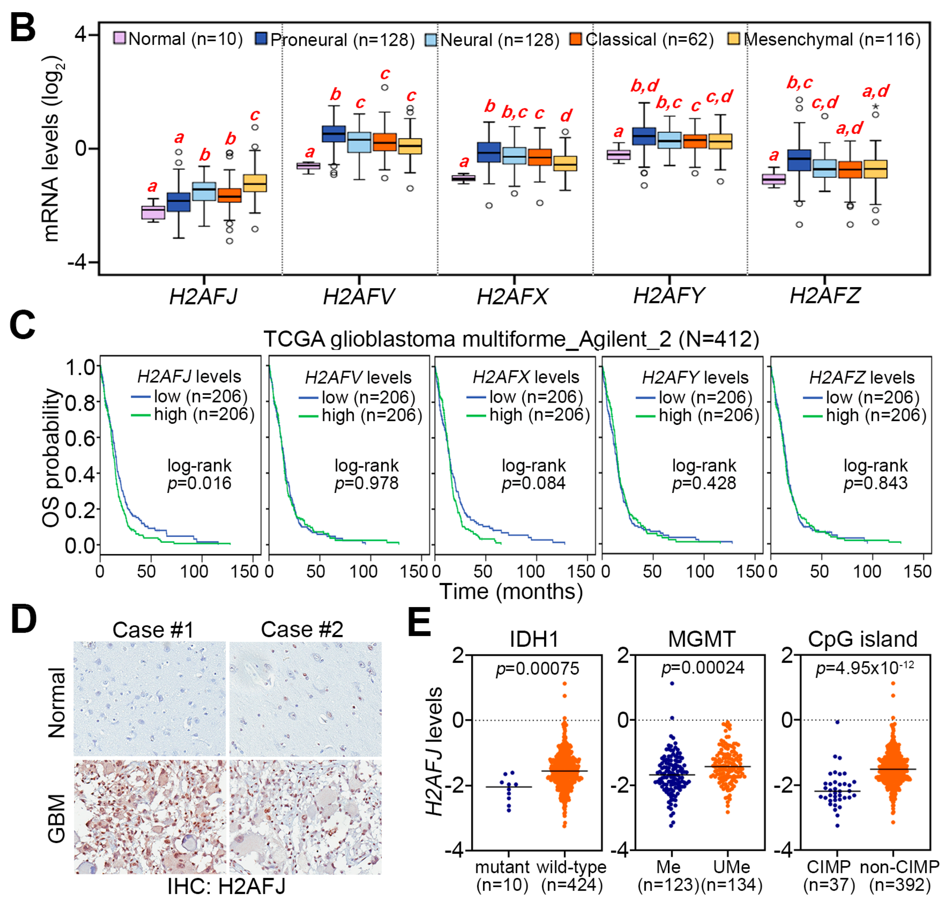 Cancers 12 00098 g001b