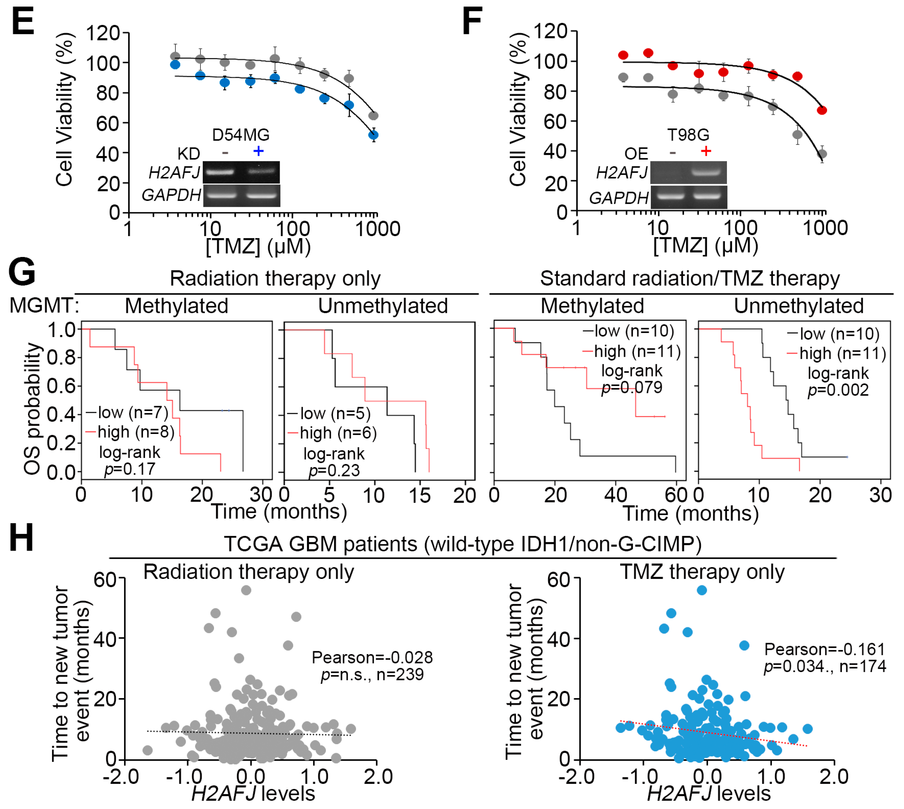 Cancers 12 00098 g003b