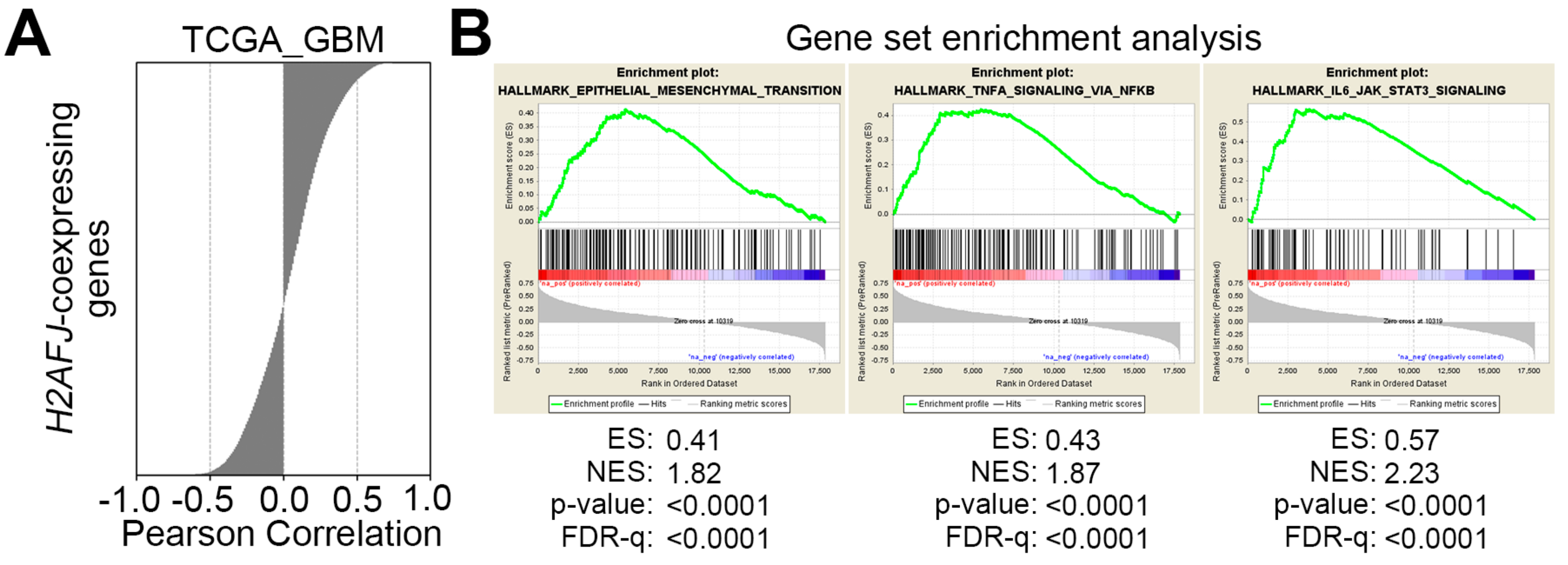 Cancers 12 00098 g004a