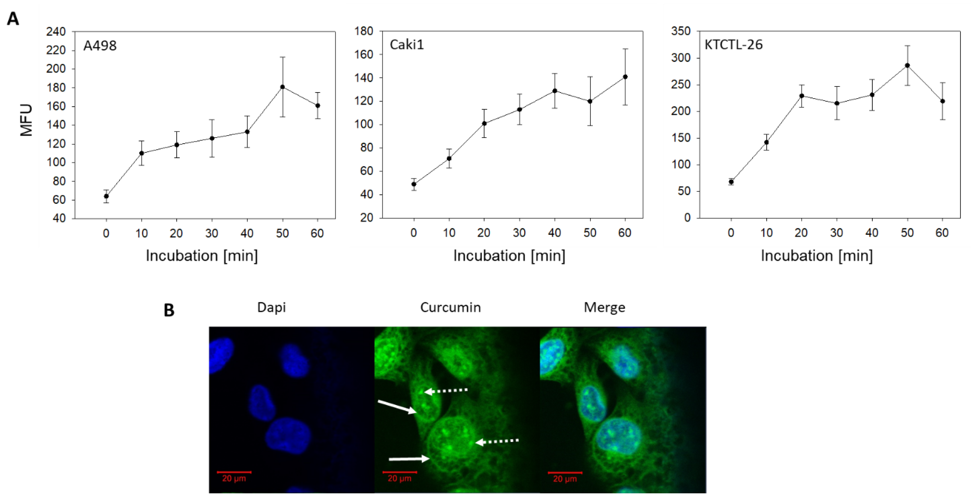 Cancers 12 00302 g002