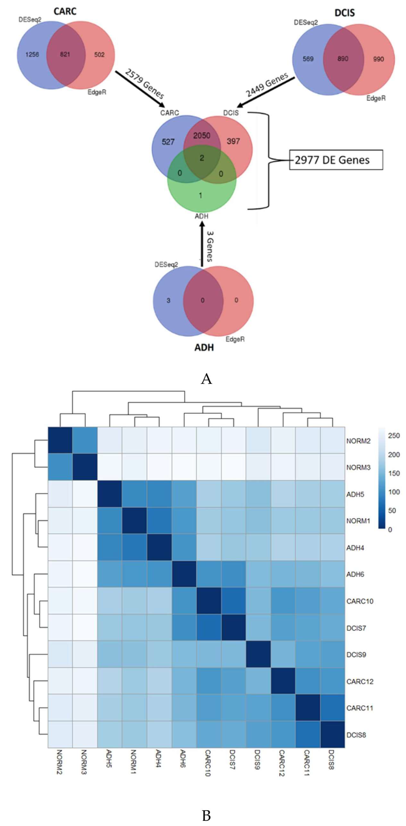 Cancers 12 00418 g001