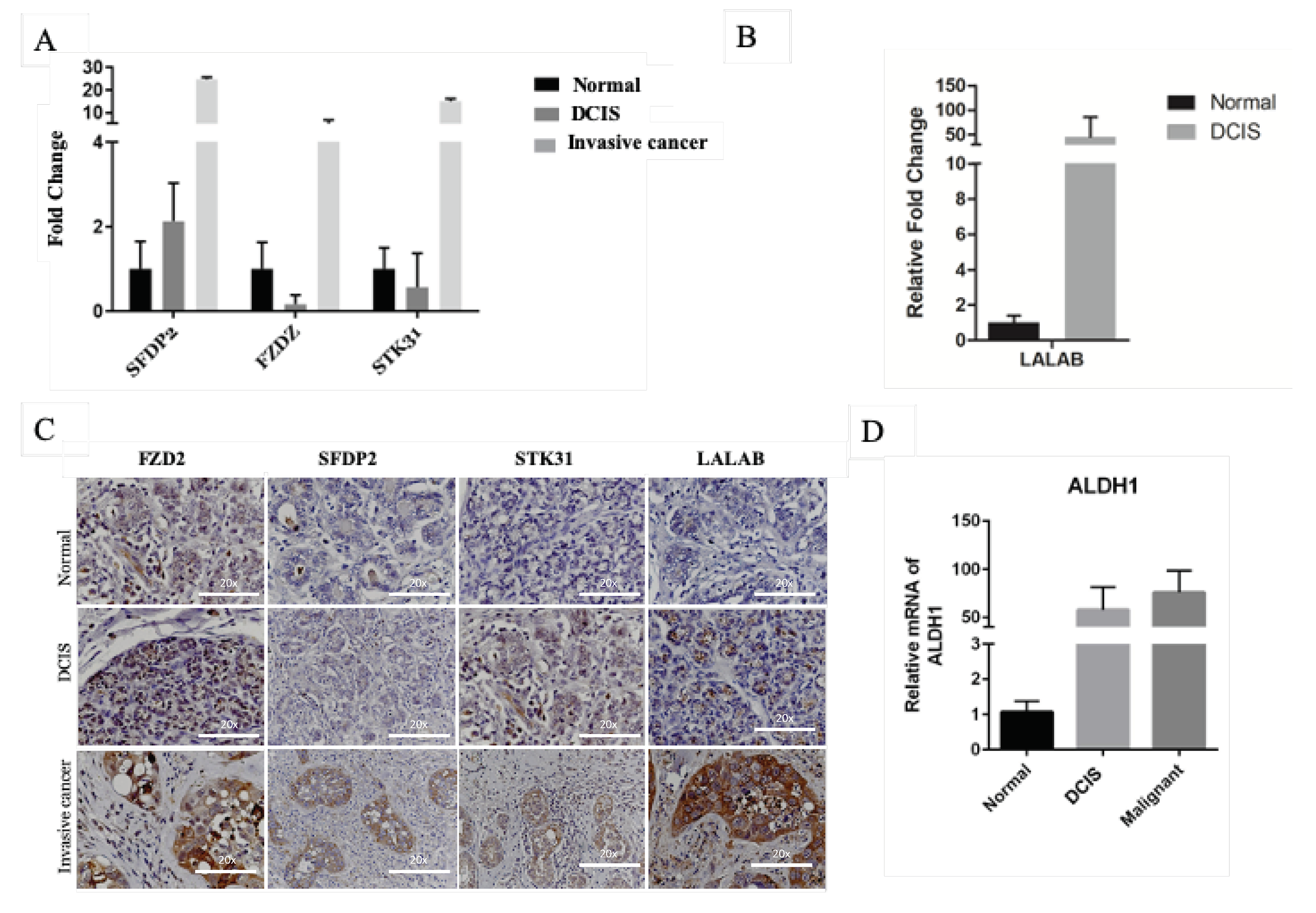 Cancers 12 00418 g002