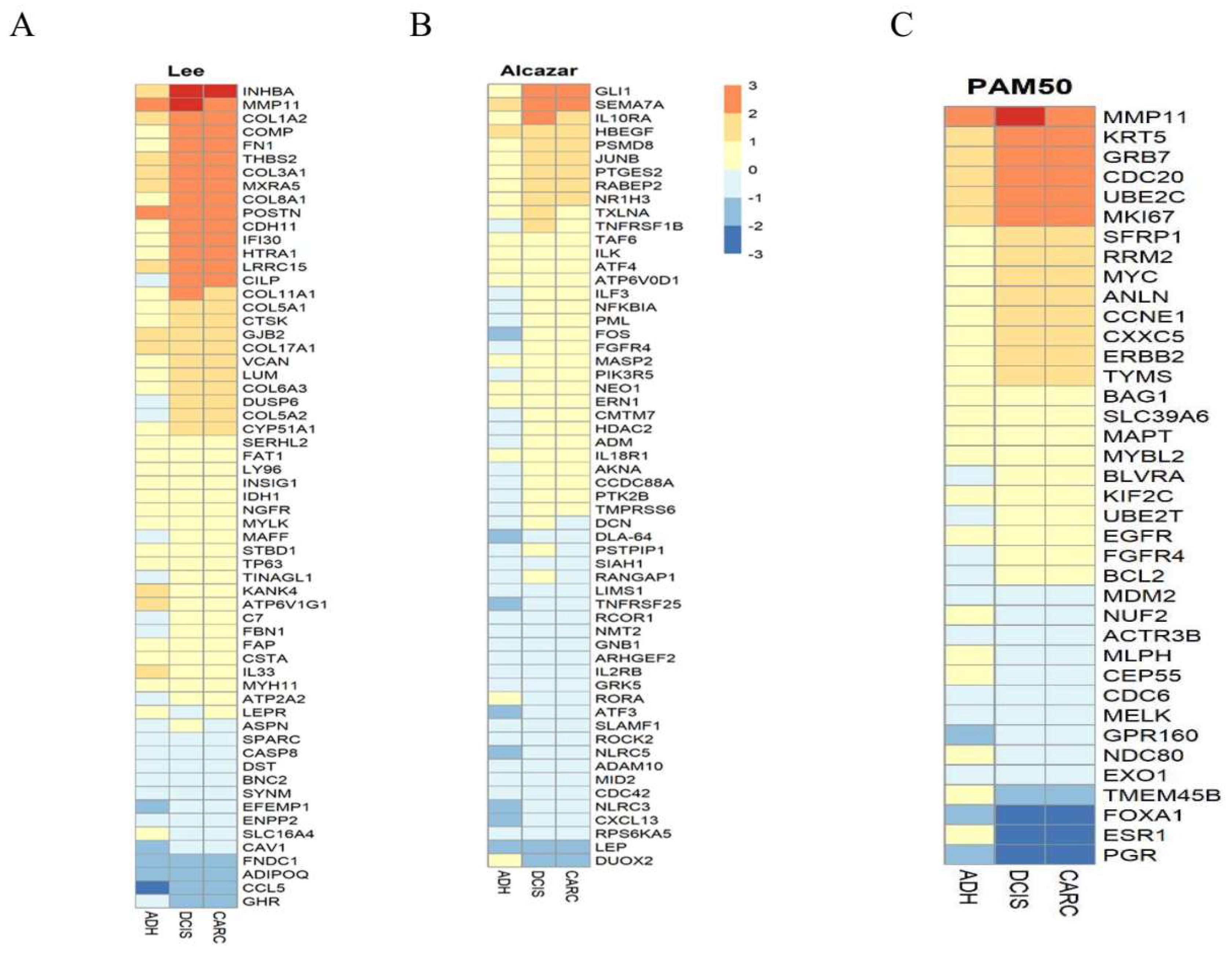 Cancers 12 00418 g005