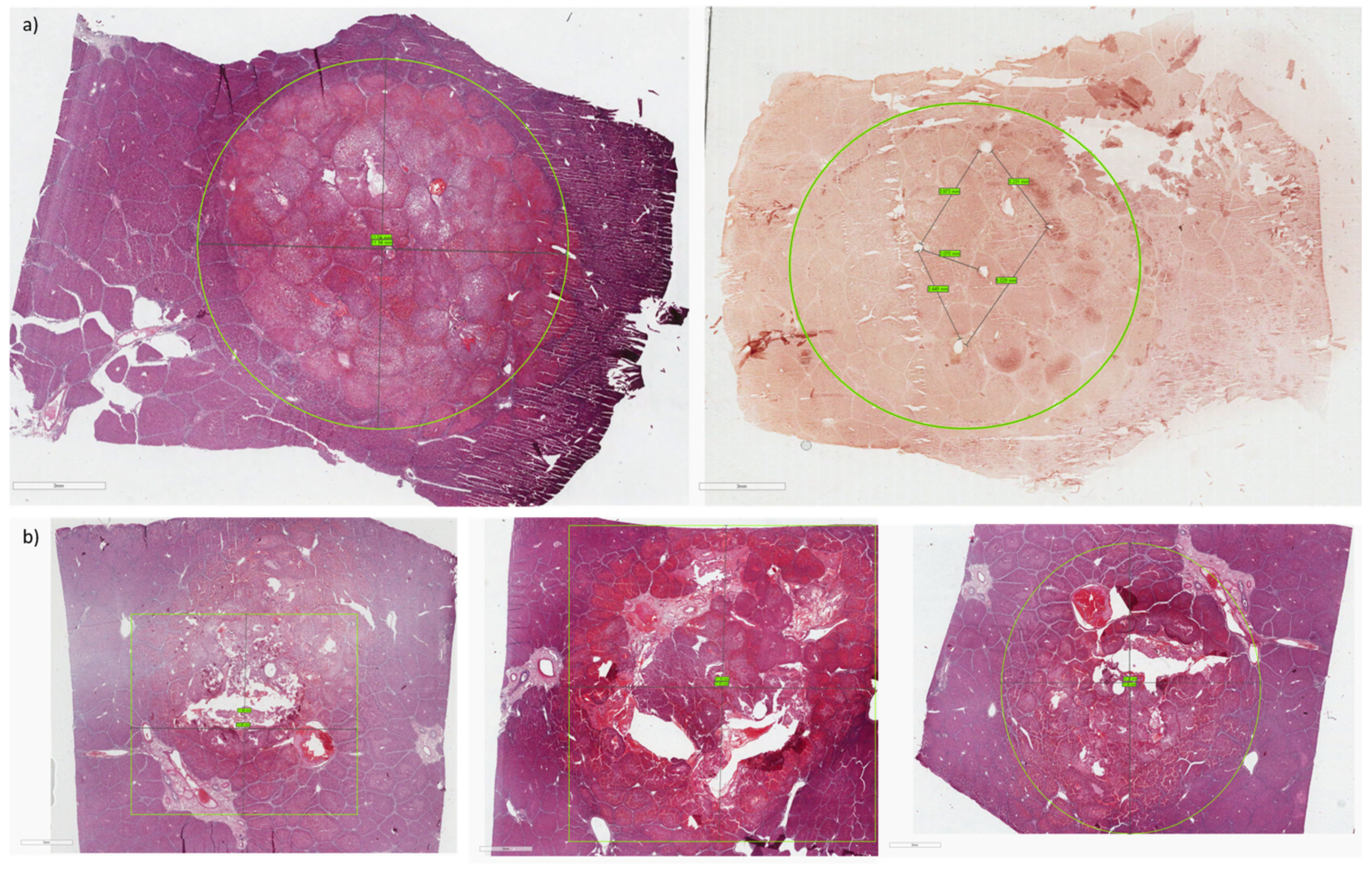 Cancers 12 00515 g006