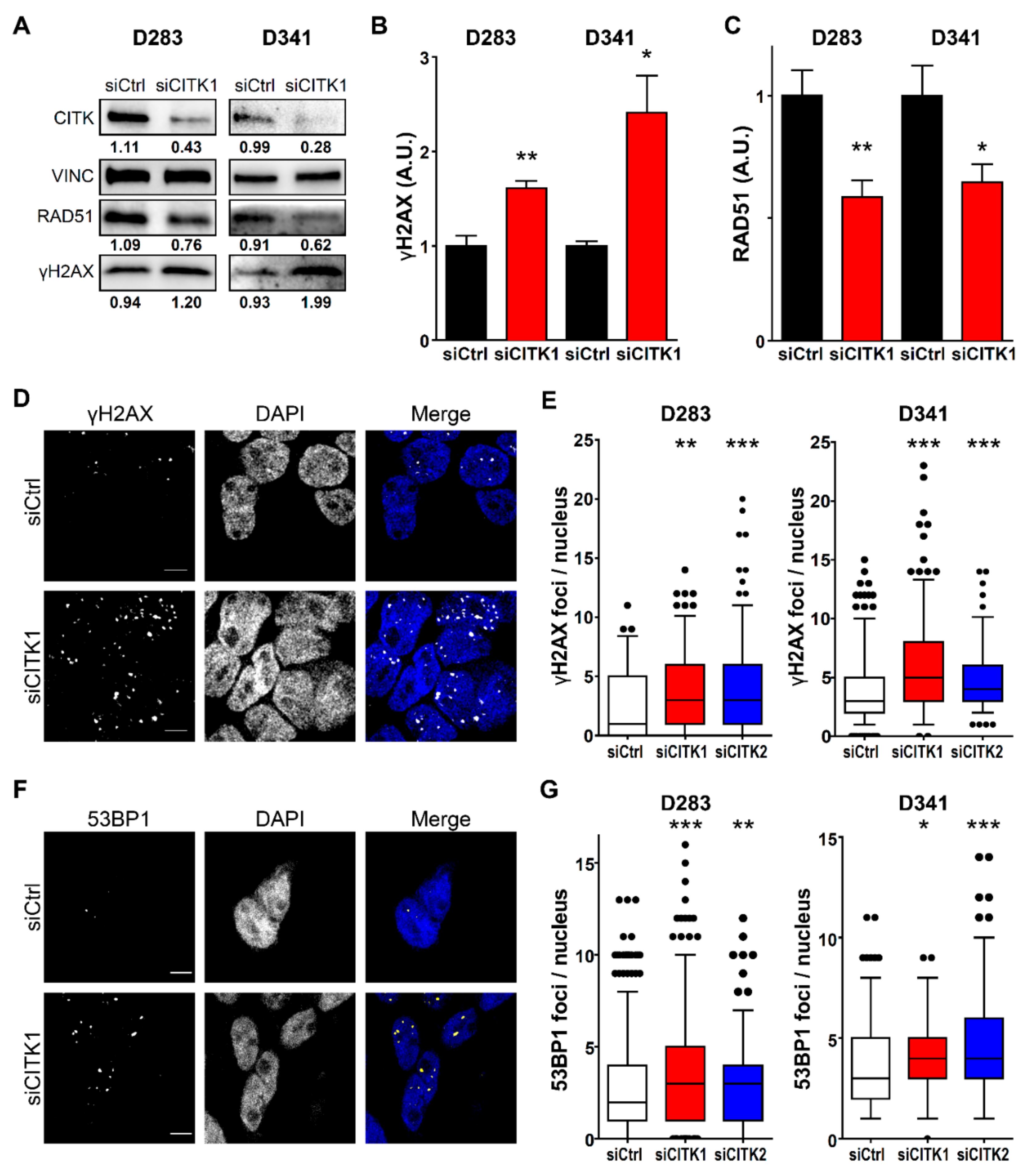 Cancers 12 00542 g003
