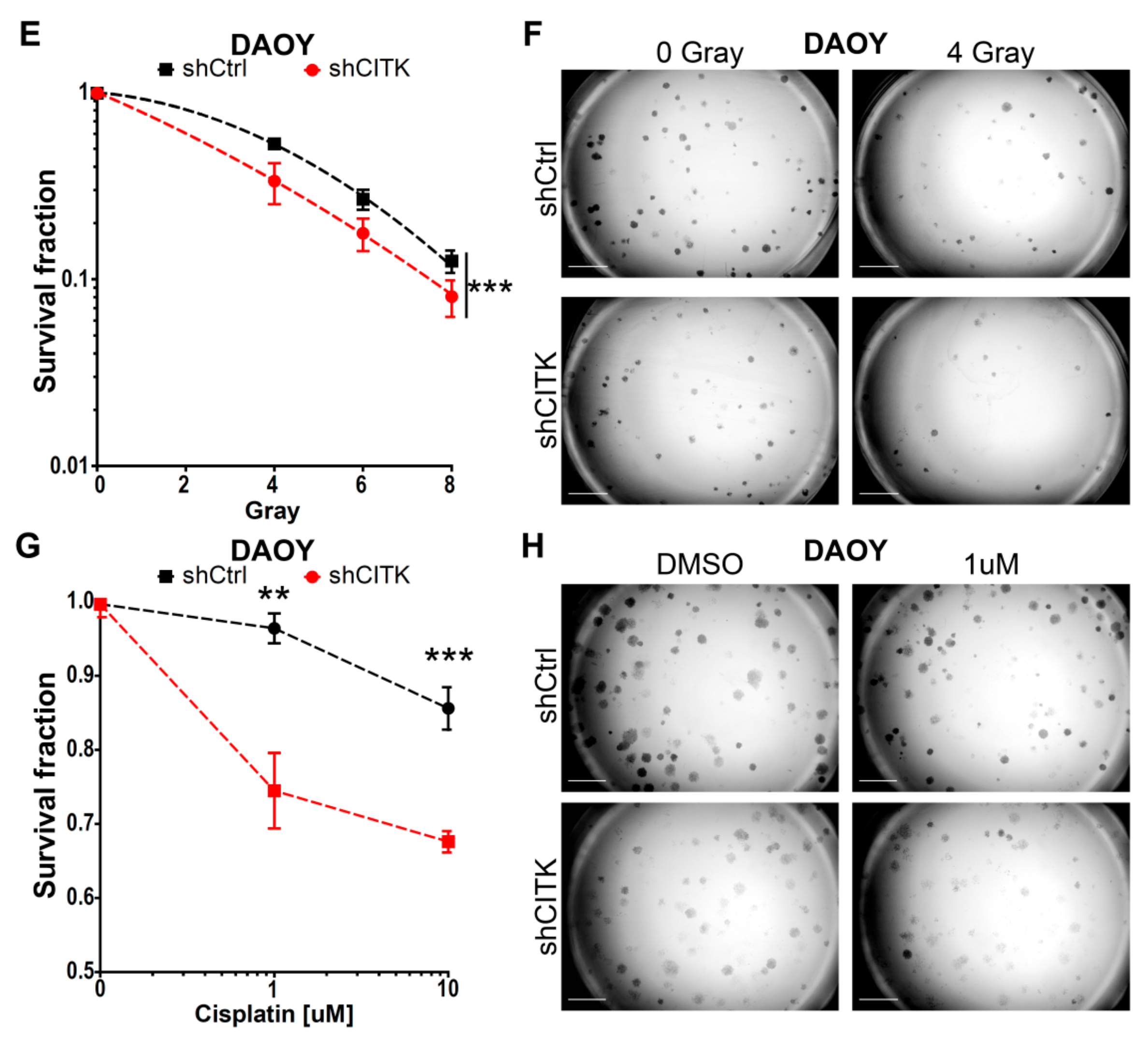 Cancers 12 00542 g006b