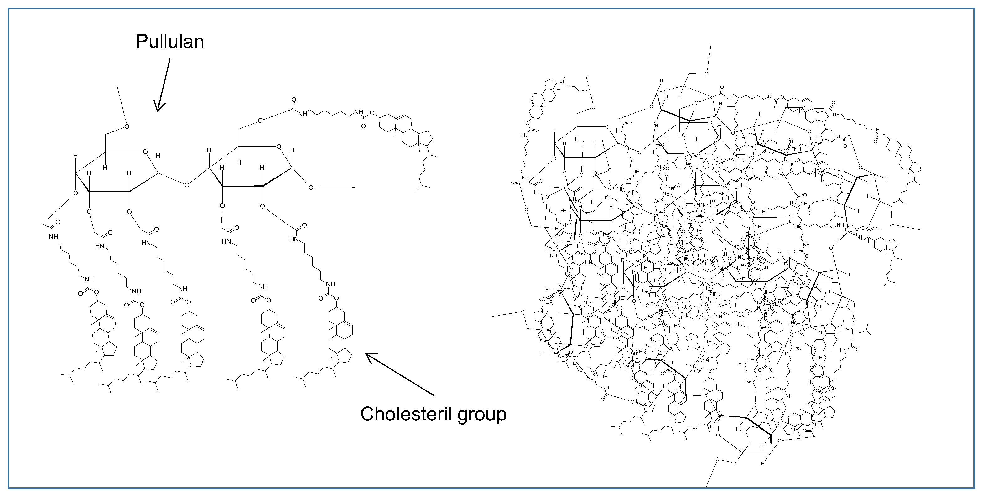 Cancers 12 01049 g003