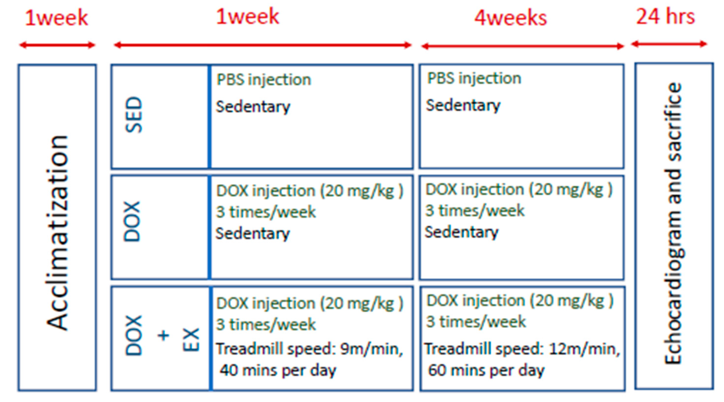 Cancers 12 01102 g007