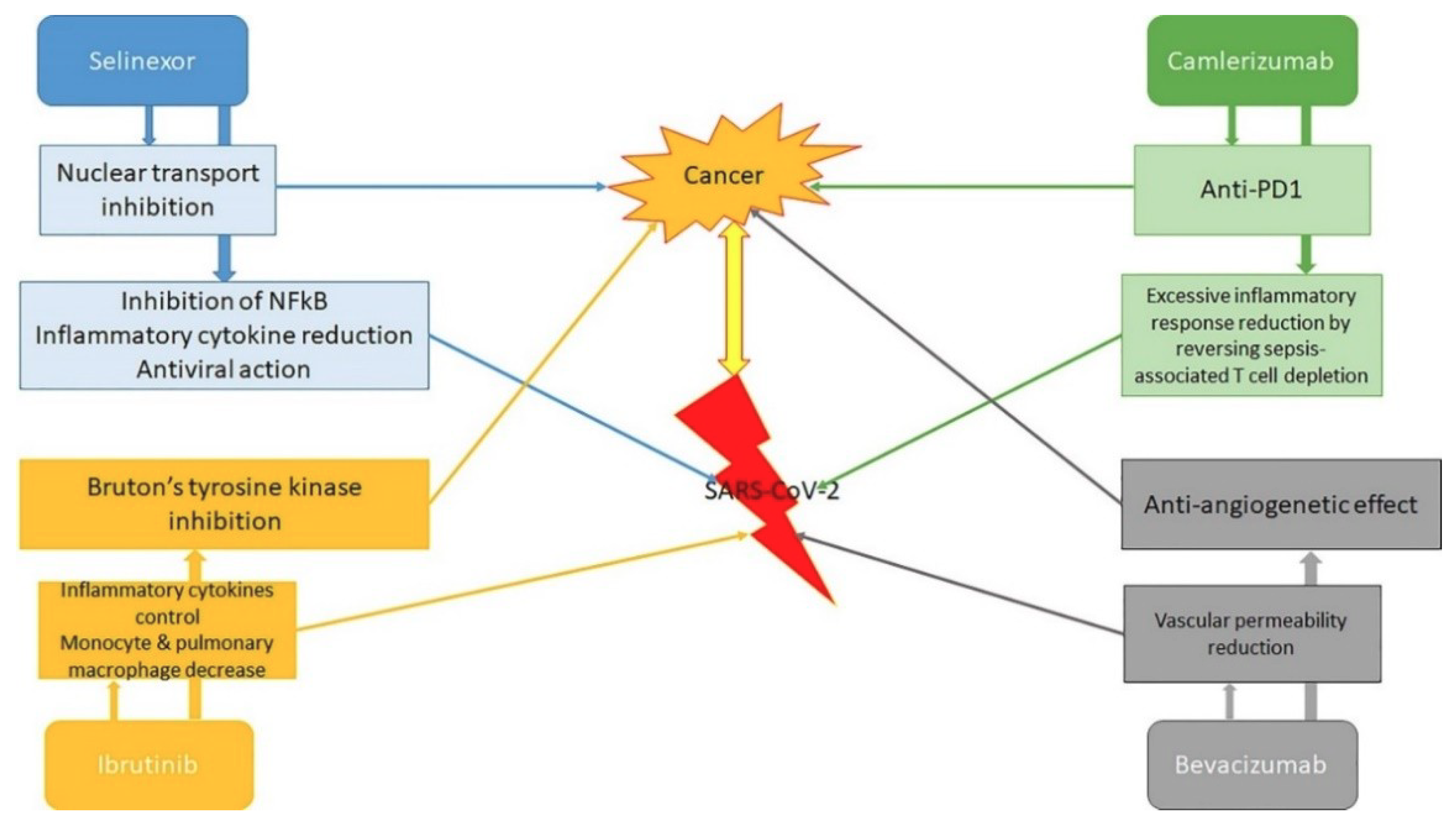Cancers 12 01581 g002