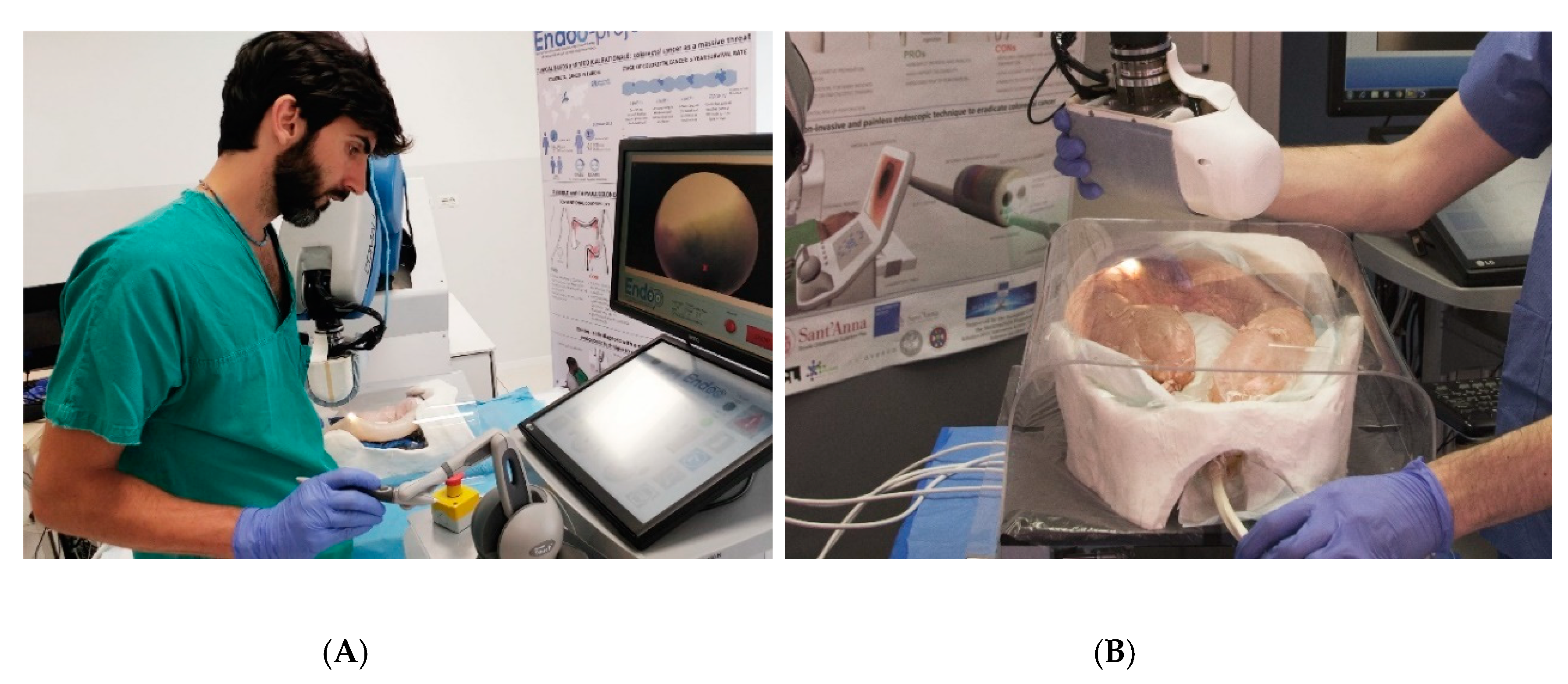 Cancers 12 02485 g003