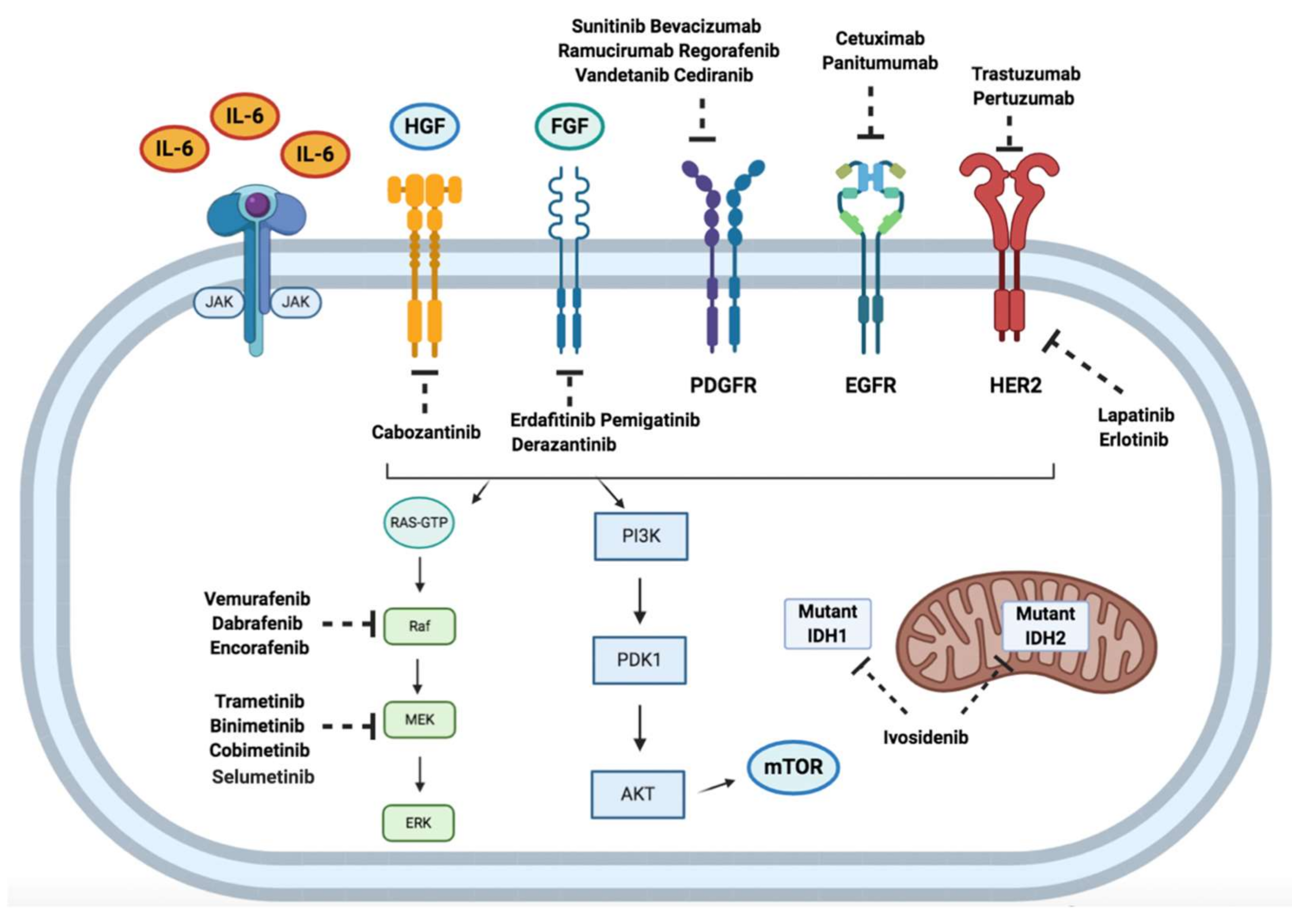 Cancers 12 03256 g002