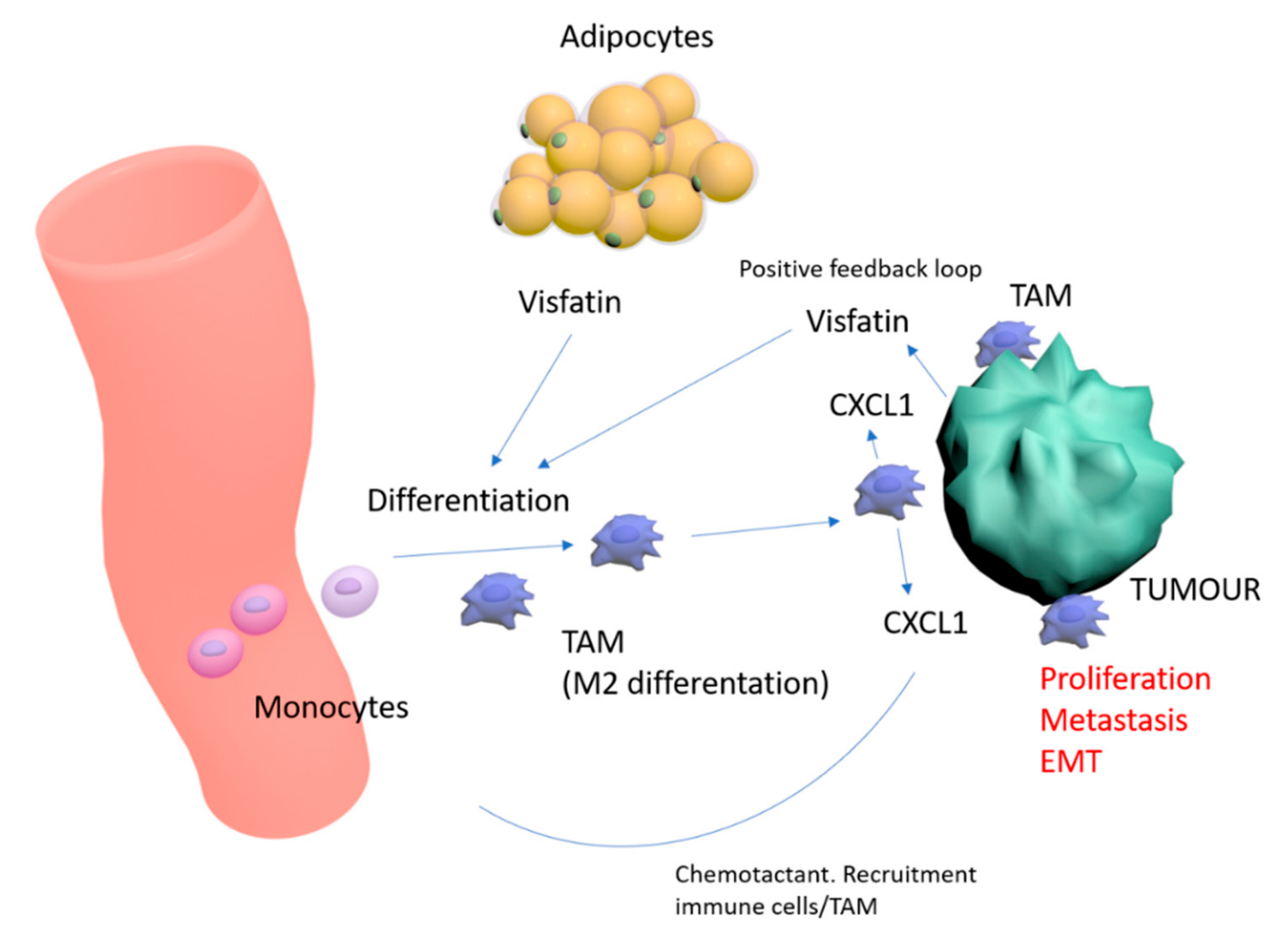 Cancers 12 03526 g007