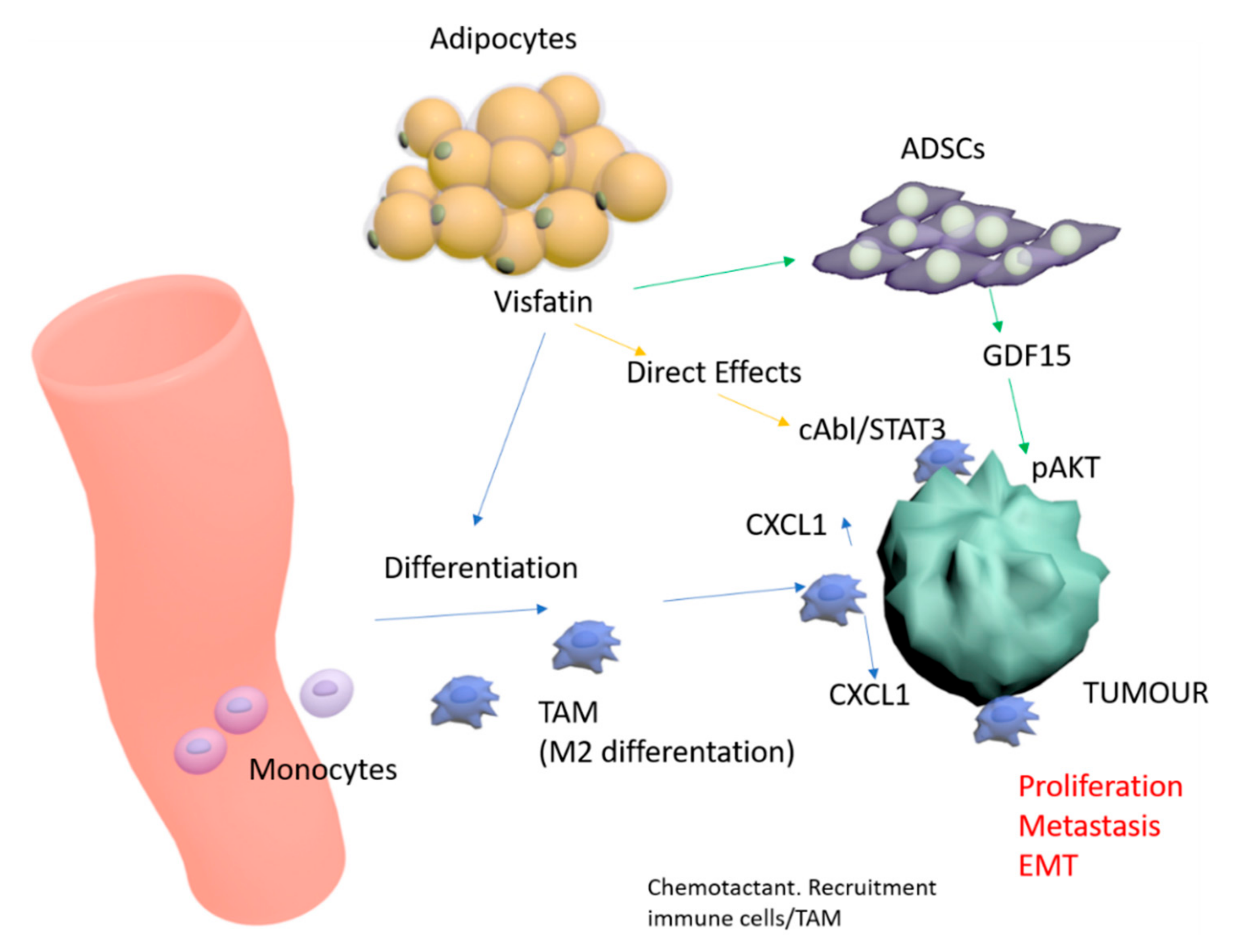 Cancers 12 03526 g008