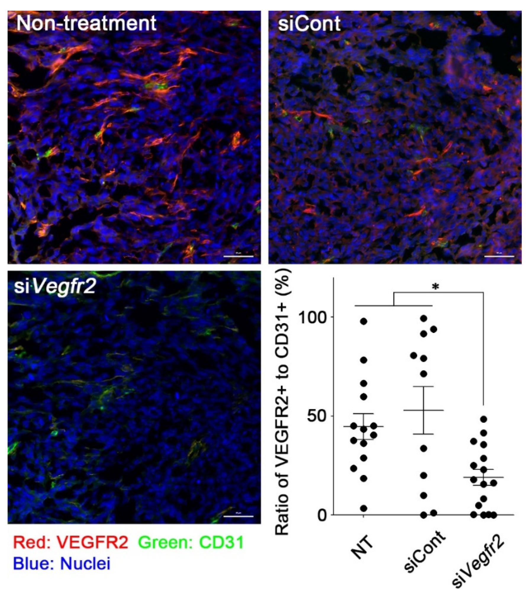 Cancers 12 03630 g002