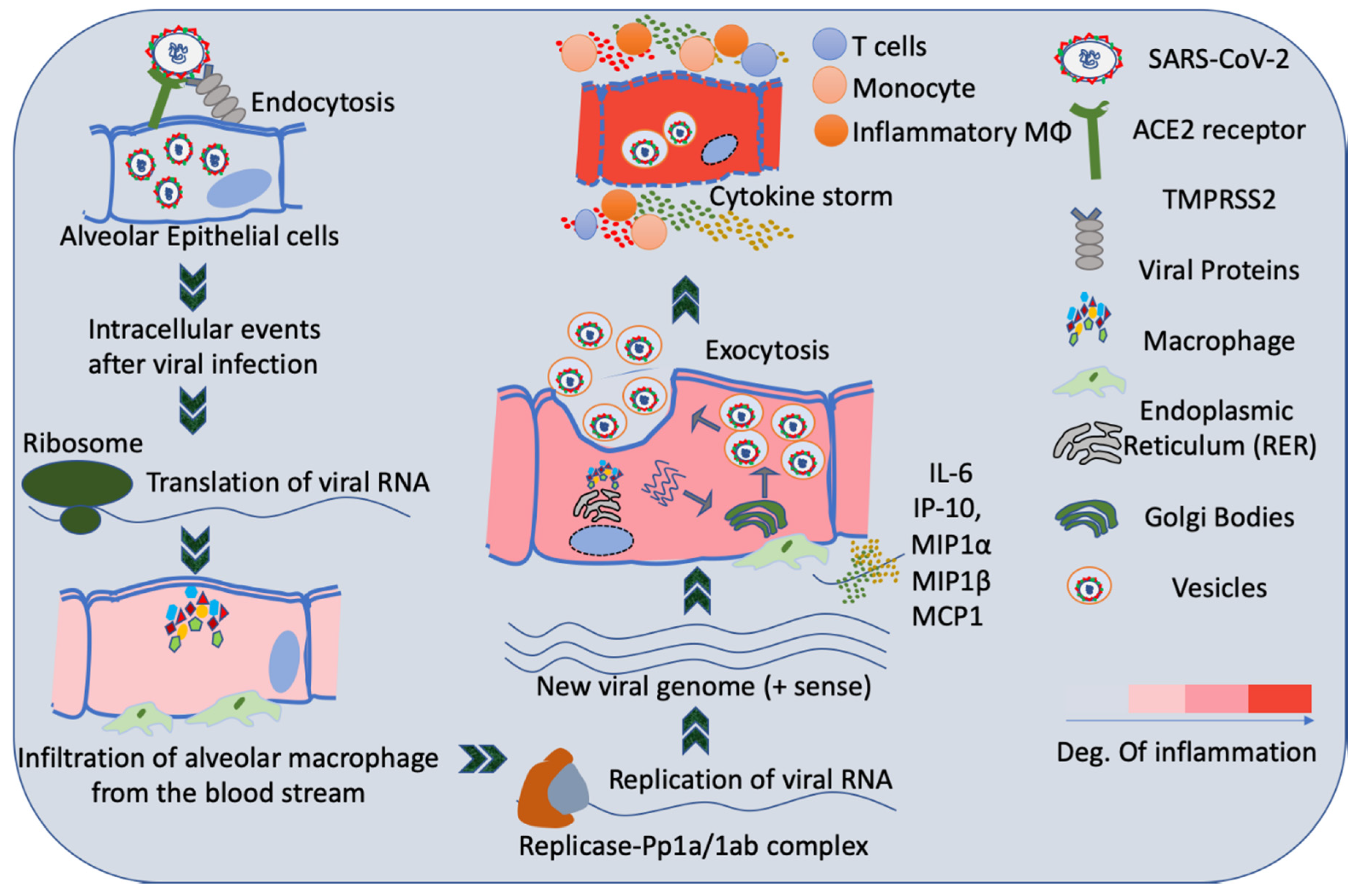 Cancers 12 03822 g002