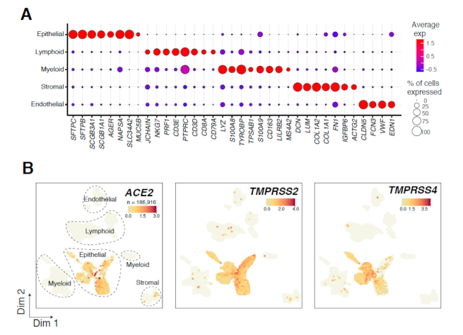 Cancers 13 01250 g001 Cancers 13 01250 g001
