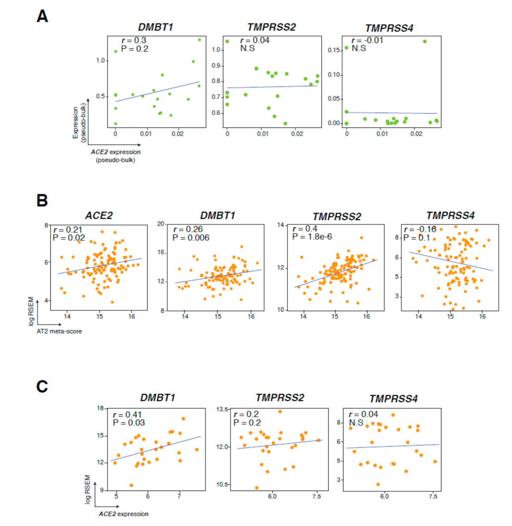 Cancers 13 01250 g004 Cancers 13 01250 g004