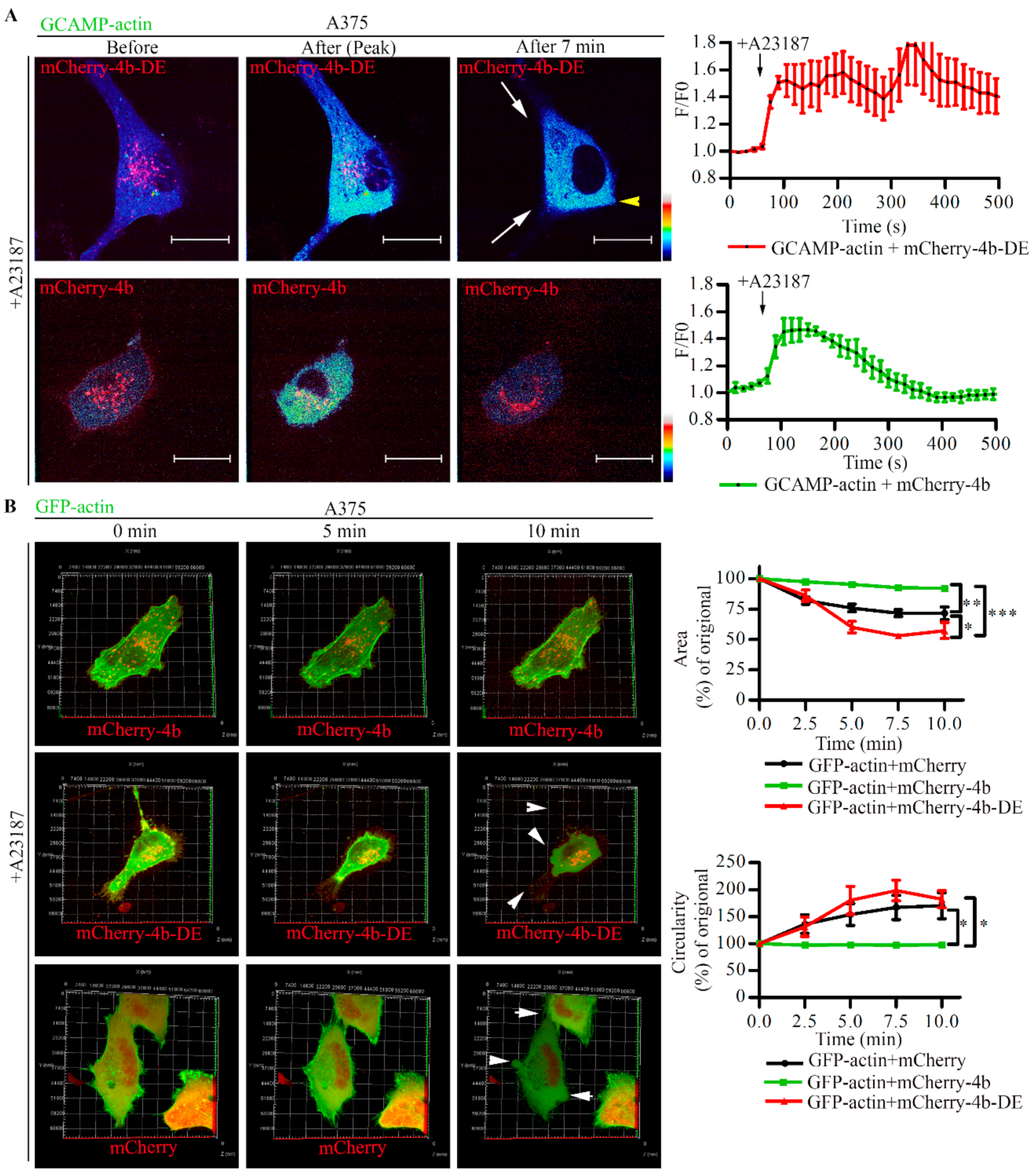 Cancers 13 01354 g007