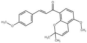 Cancers 13 02730 i015