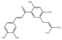 Cancers 13 02730 i022