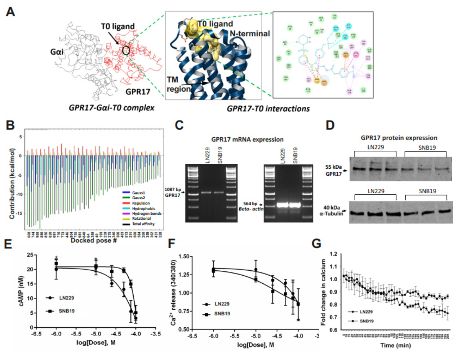 Cancers 13 03773 g002