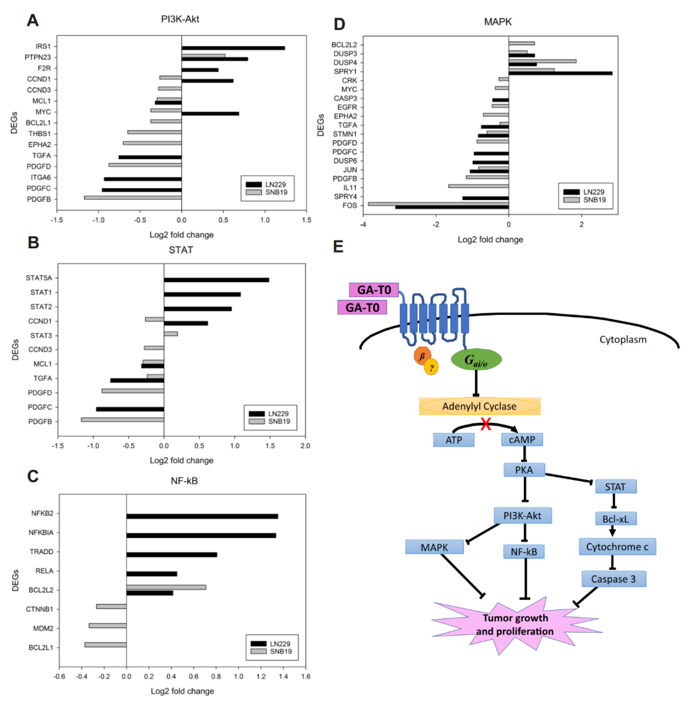 Cancers 13 03773 g004