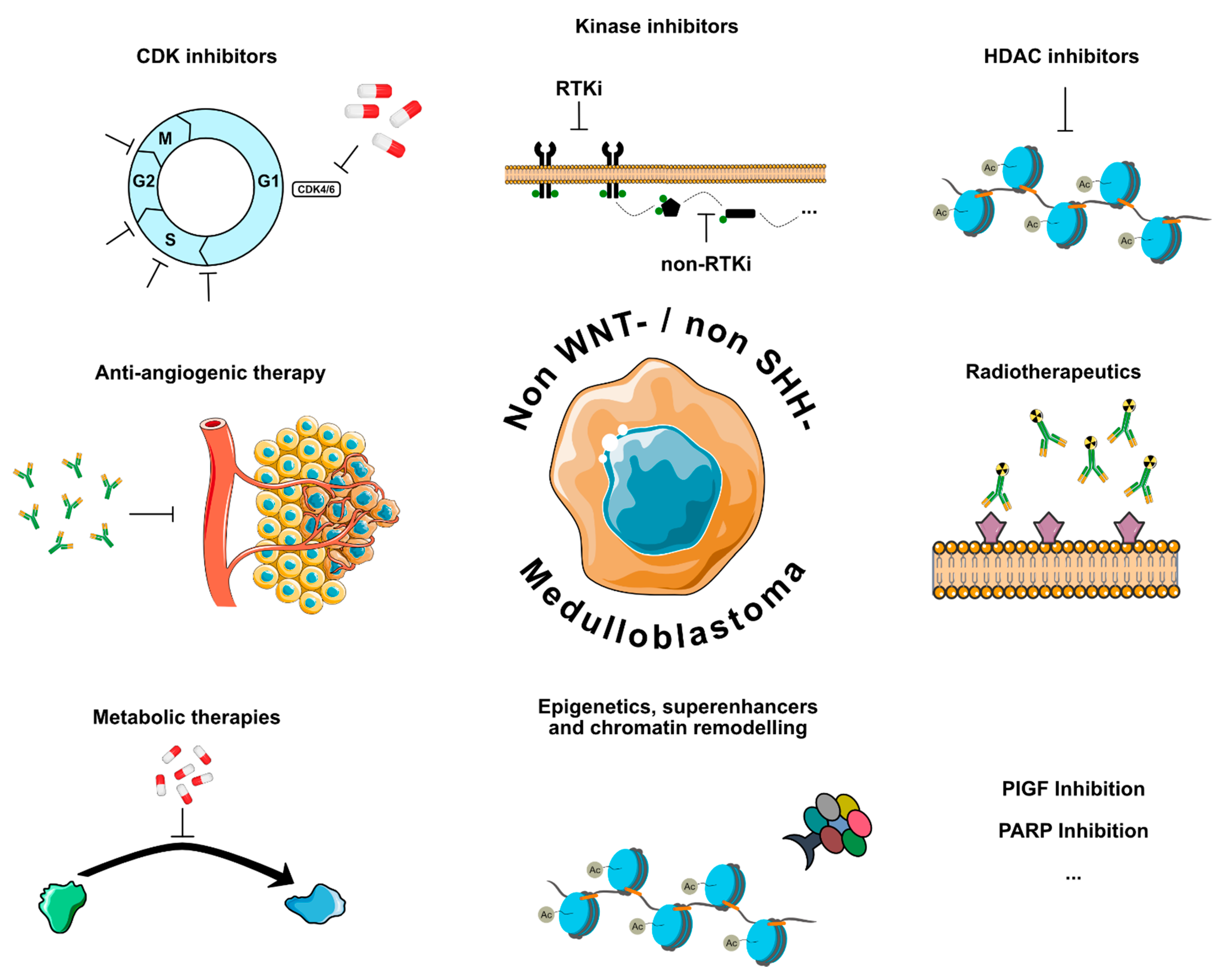 Cancers 14 00679 g001